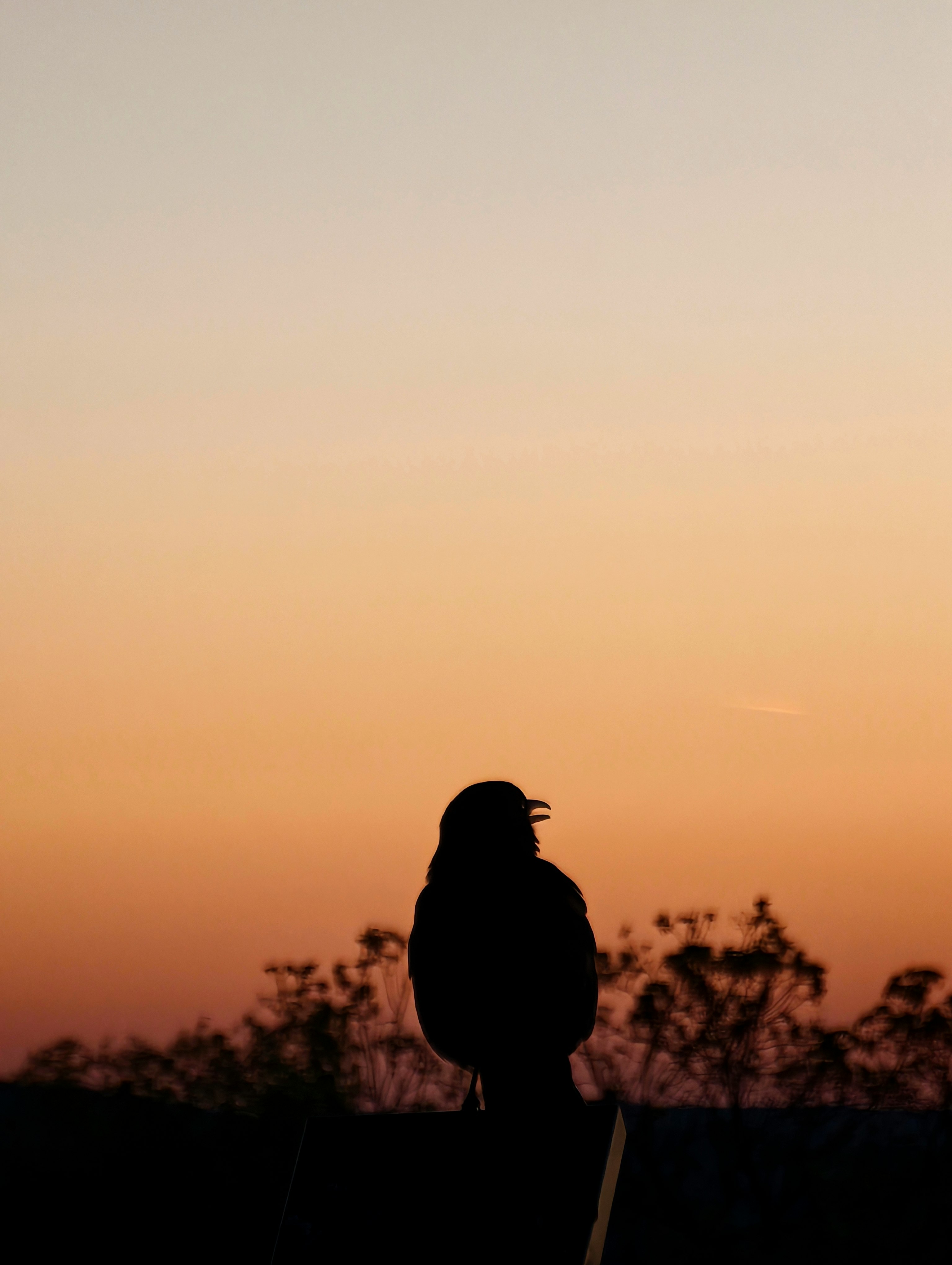 Una persona sola de pie en silueta al atardecer