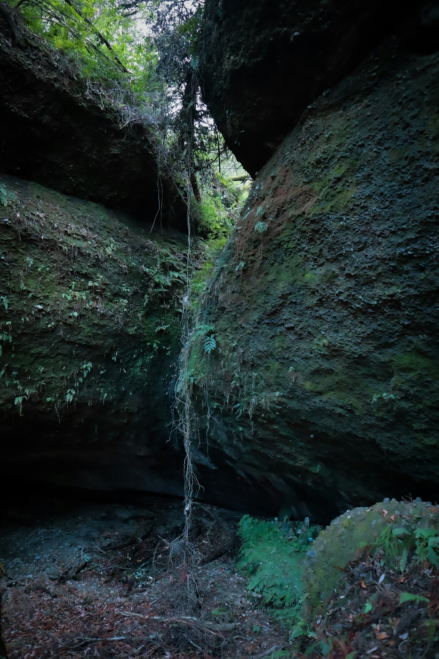 Un suggestivo canyon con una piccola cascata che scorre tra rocce coperte di verde