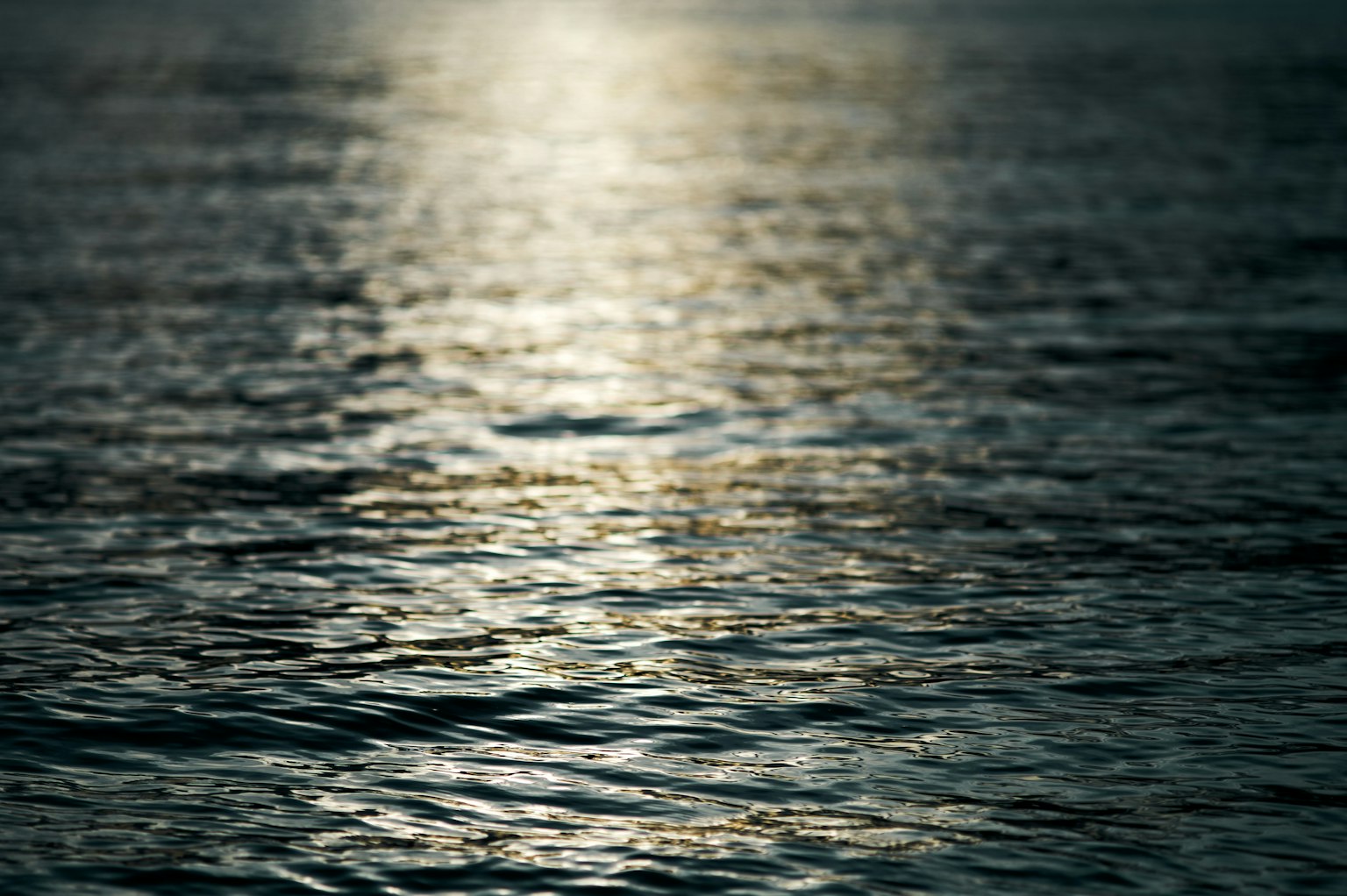 静かな水面に映る光の反射と波紋