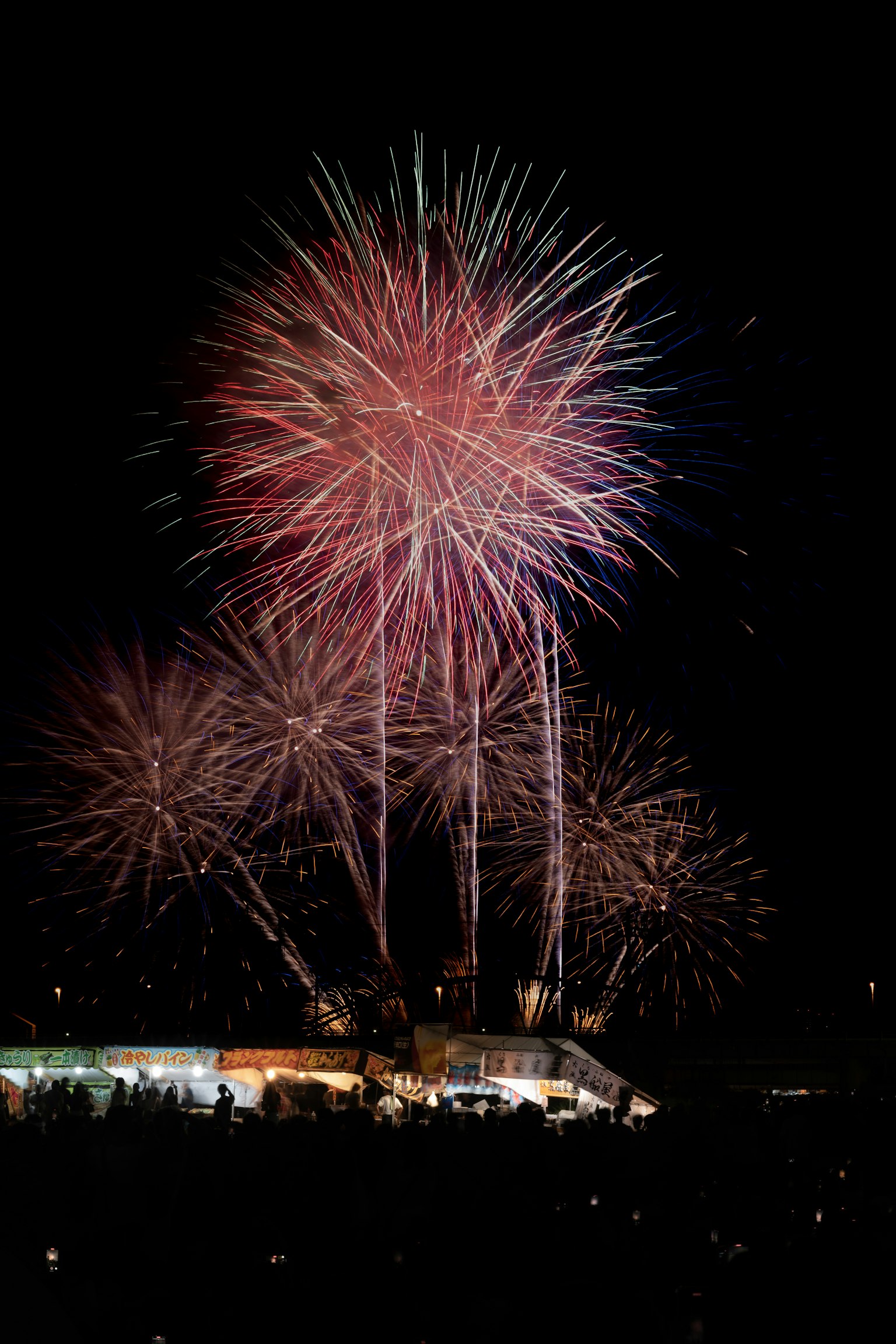 Colorful fireworks bursting in the night sky