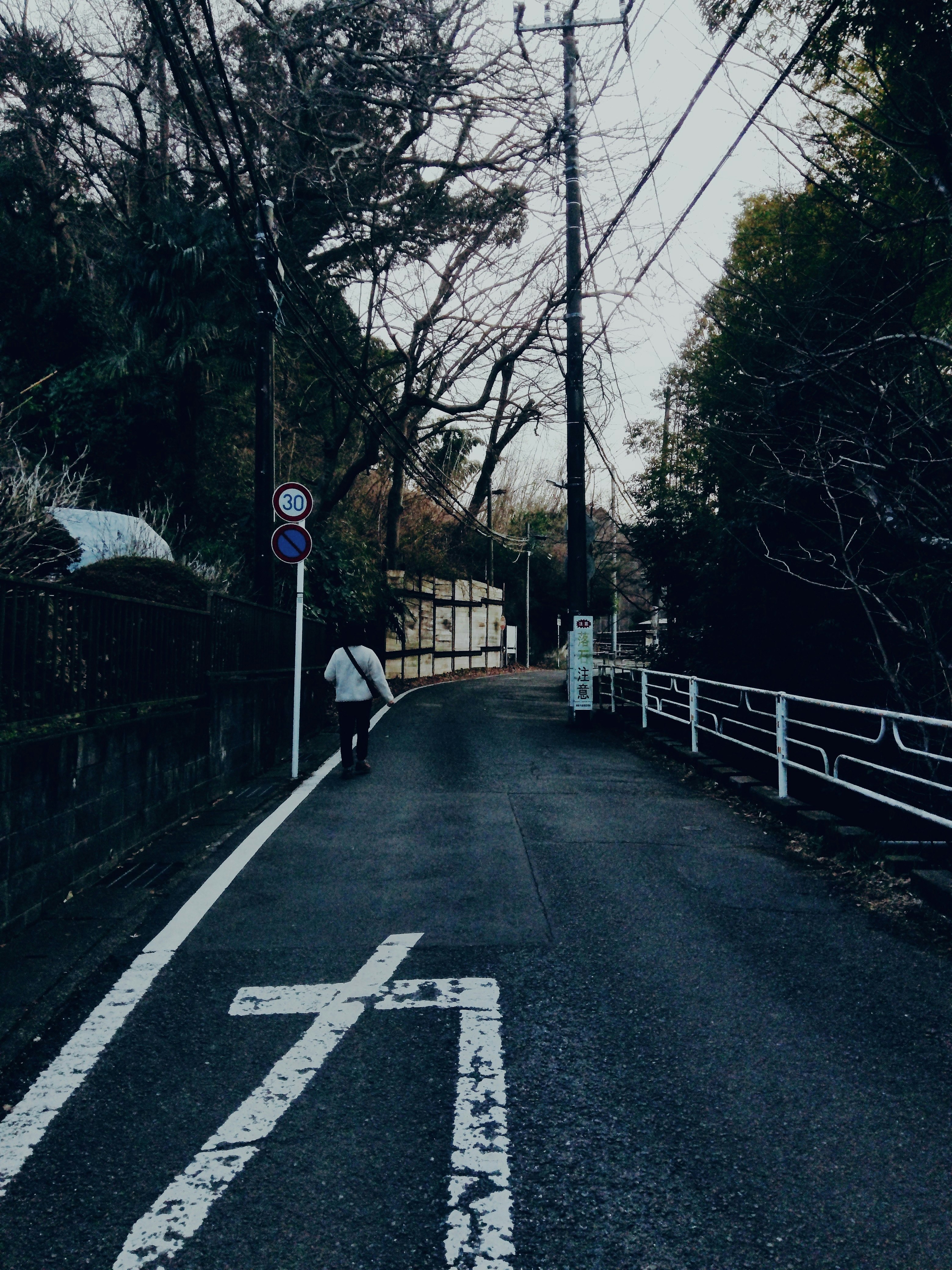 木々に囲まれた住宅街の細い坂道