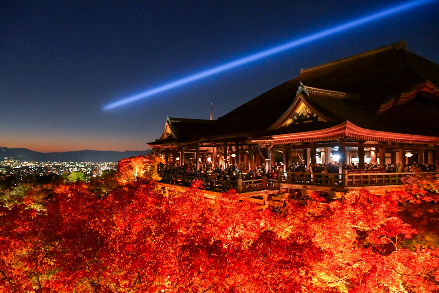 Cảnh đêm của Kyoto với lá mùa thu và một tòa nhà đẹp