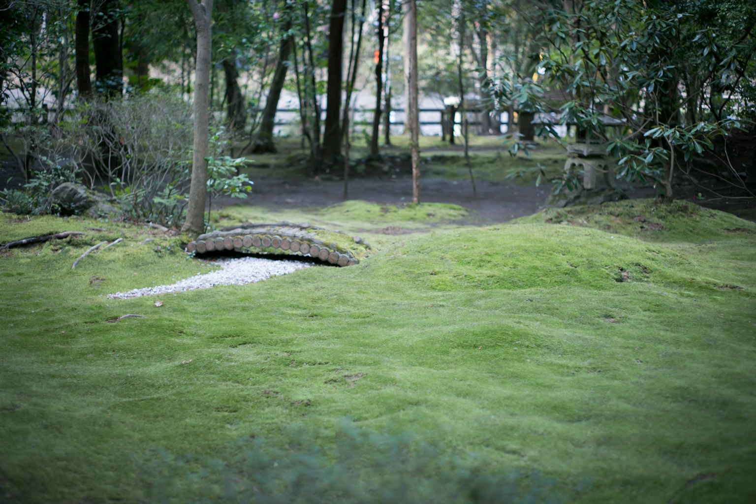 Paisaje de jardín sereno cubierto de musgo verde con un pequeño puente de piedra y árboles