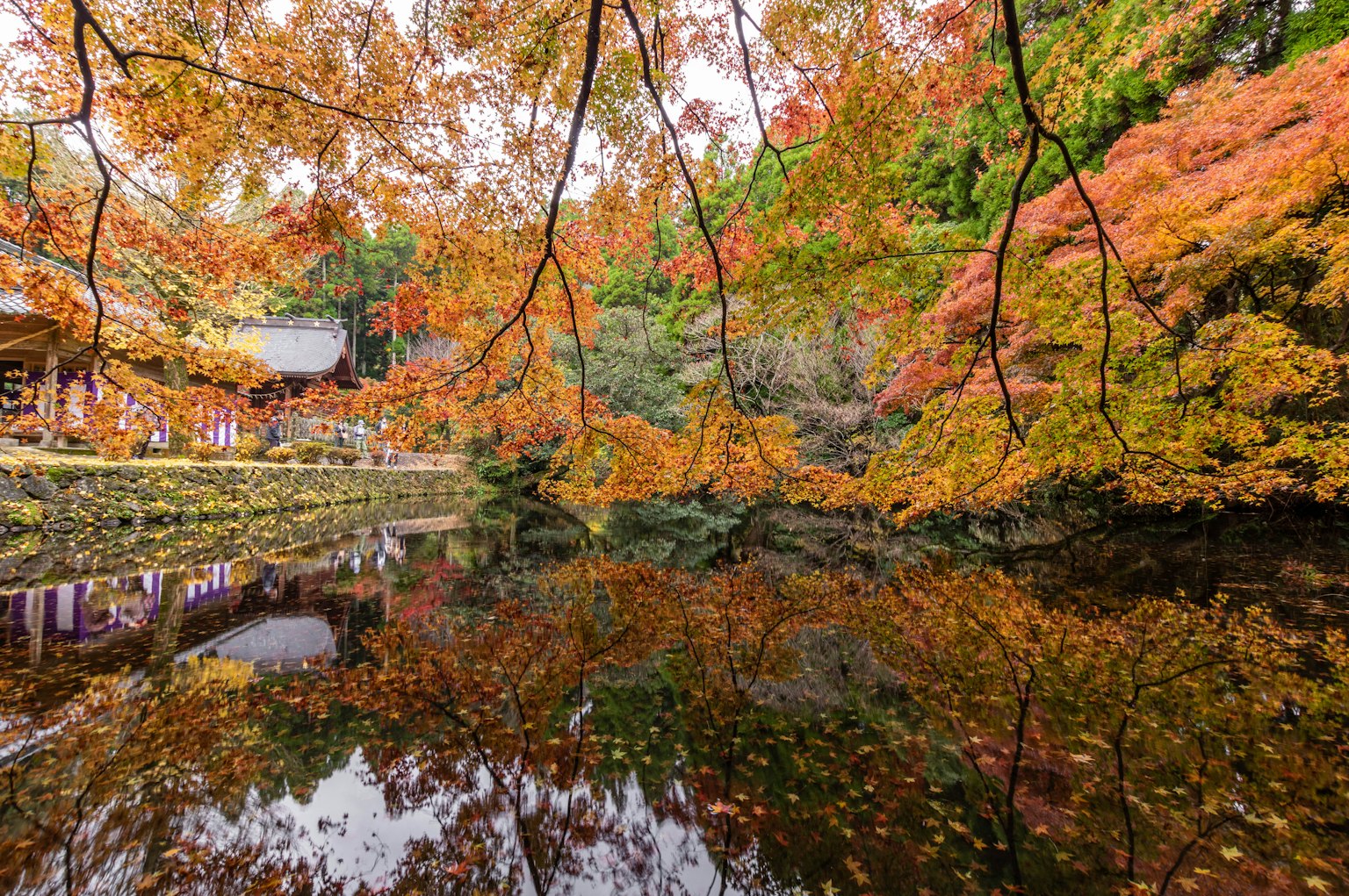 Schöne Herbstfarben spiegeln sich in einem Teich mit umliegender Landschaft