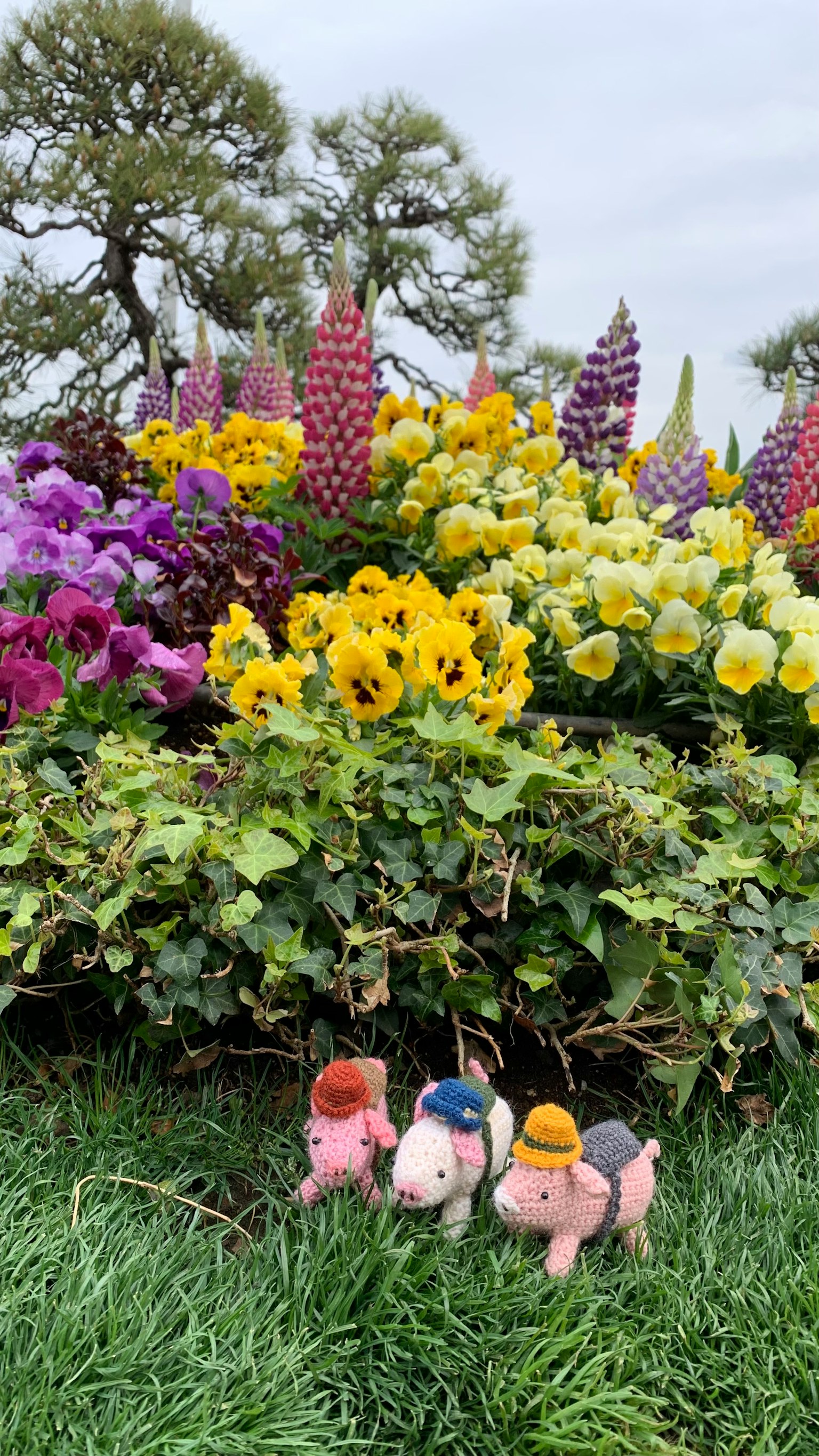 Un giardino fiorito colorato con tre personaggi di maiali in un ambiente vivace