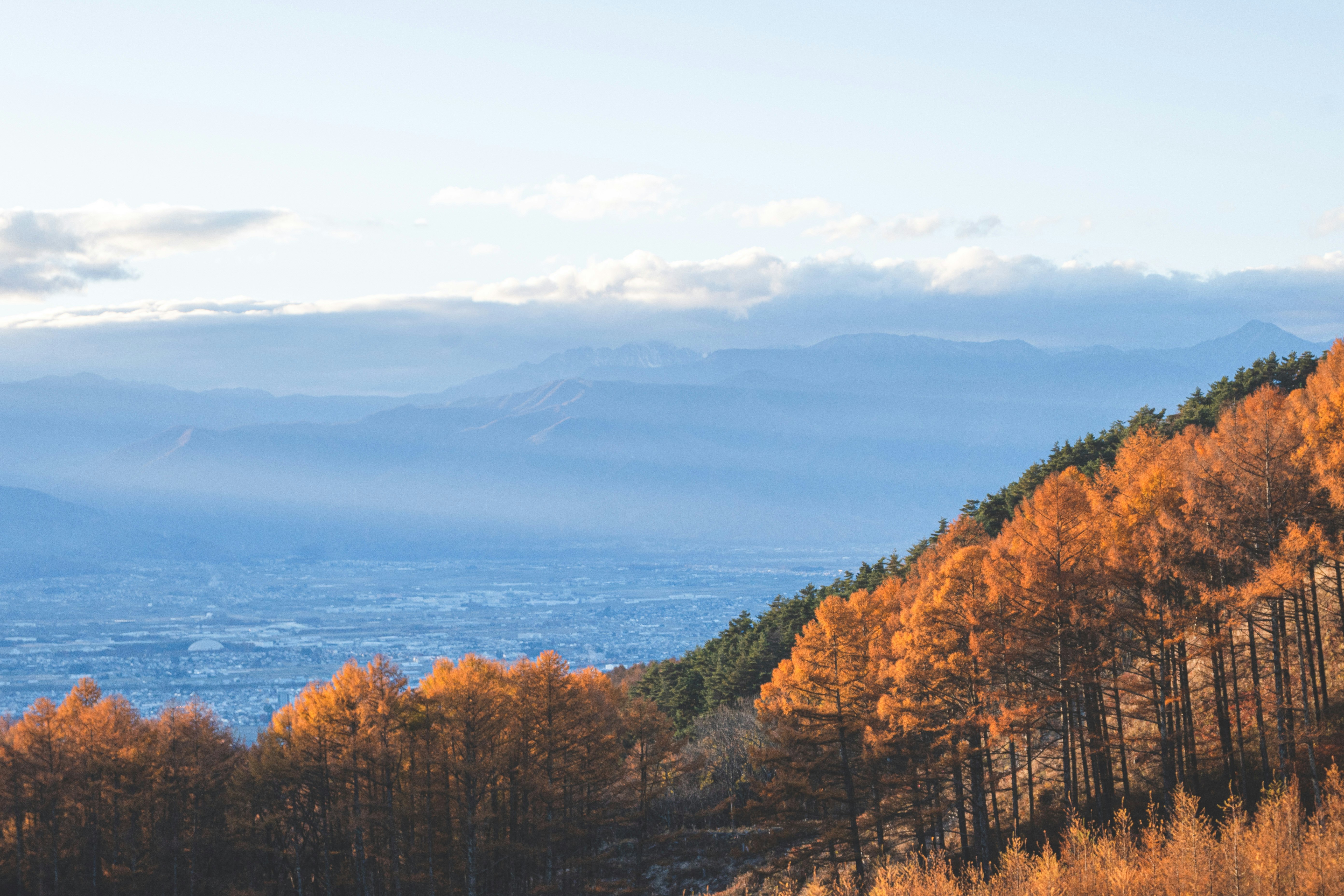 秋季红叶森林与远处山脊远景