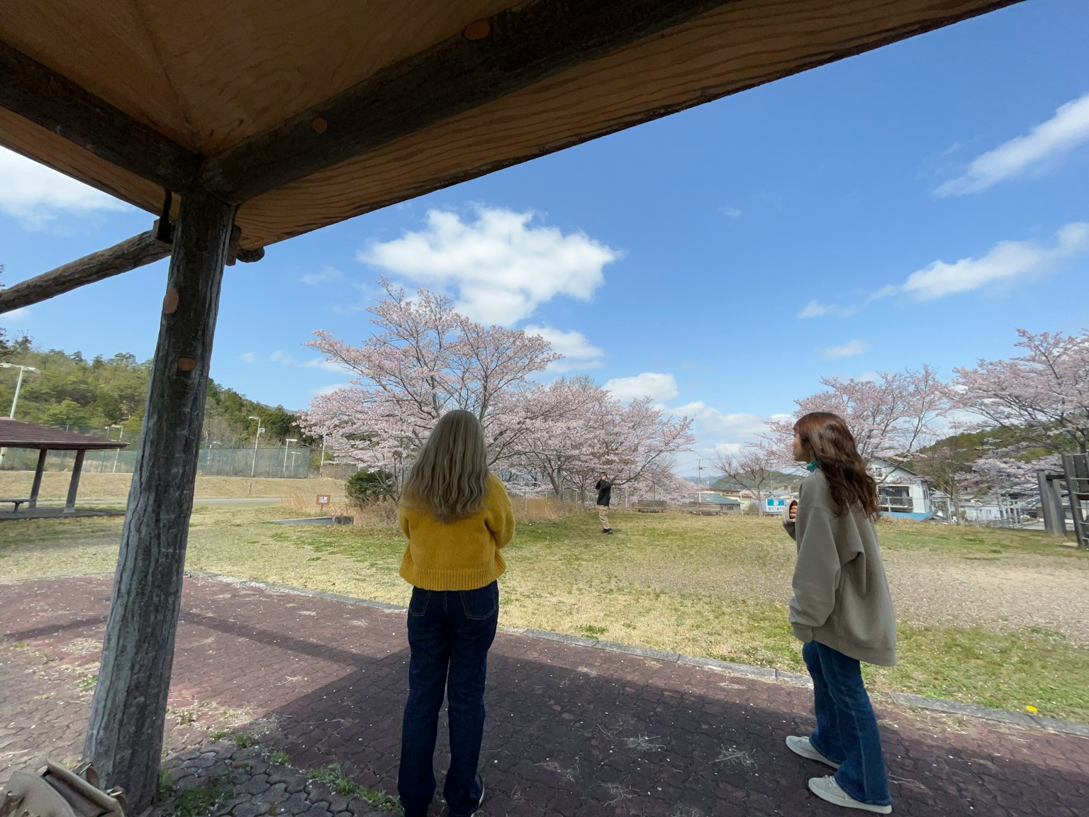 Deux femmes se tenant sous des cerisiers en fleurs avec un ciel bleu