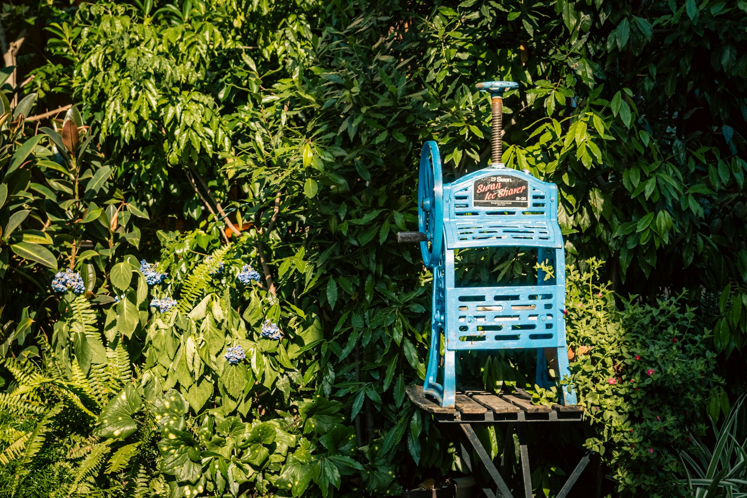 Ein blauer Holzstuhl umgeben von üppigen grünen Pflanzen