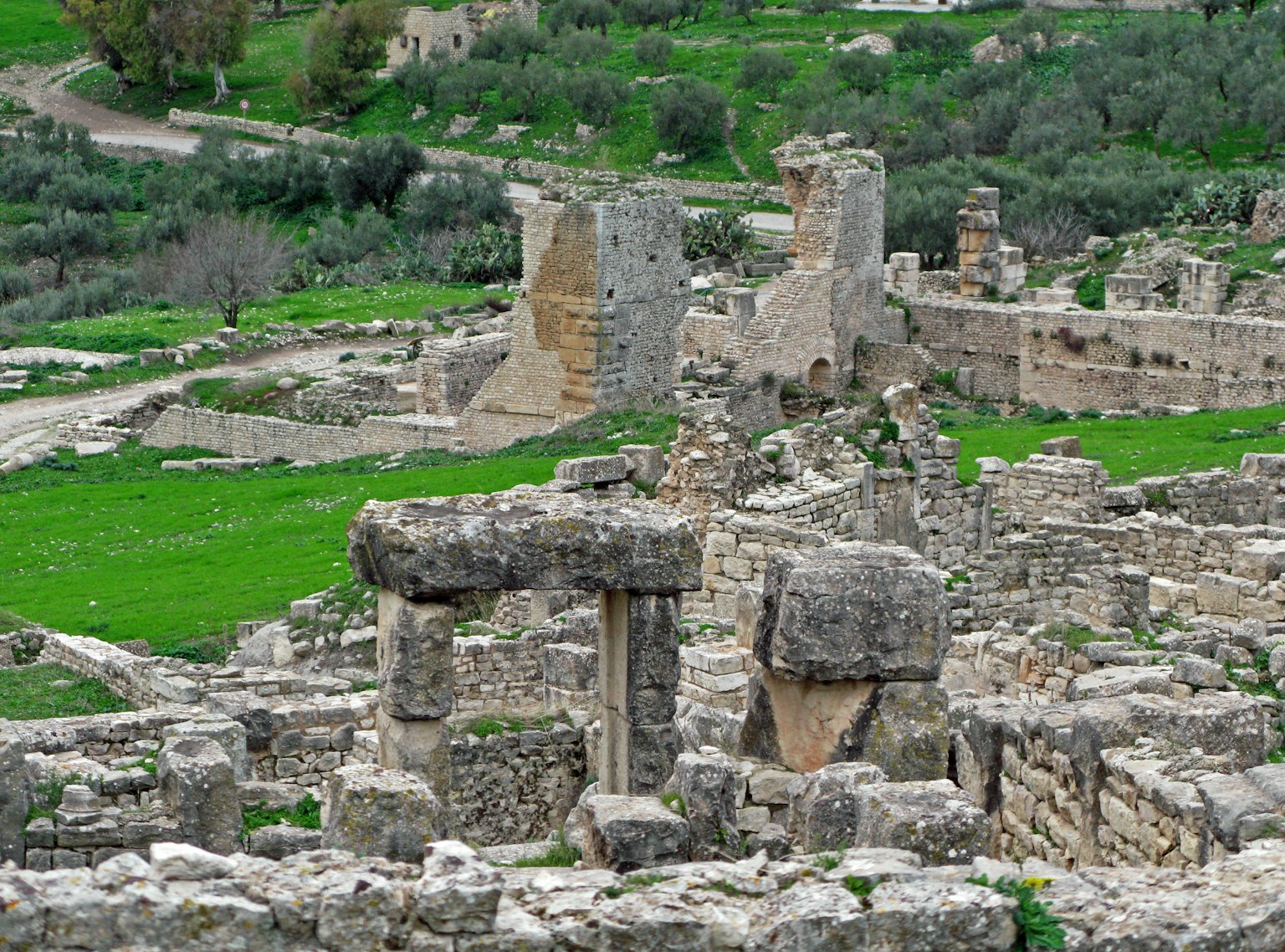 Landscape of ruins surrounded by green grass featuring ancient stone structures