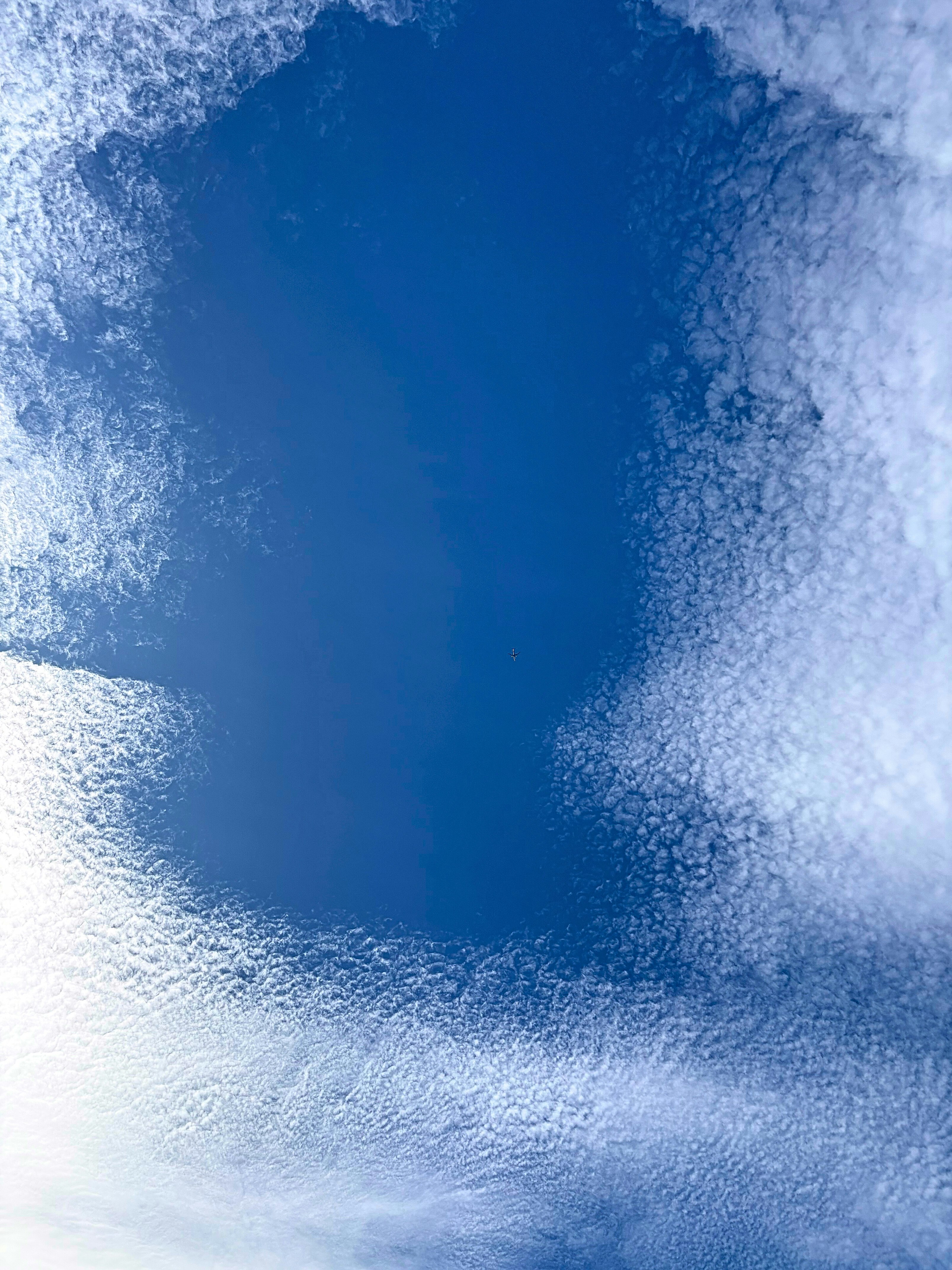 blue sky filled with cloud texture
