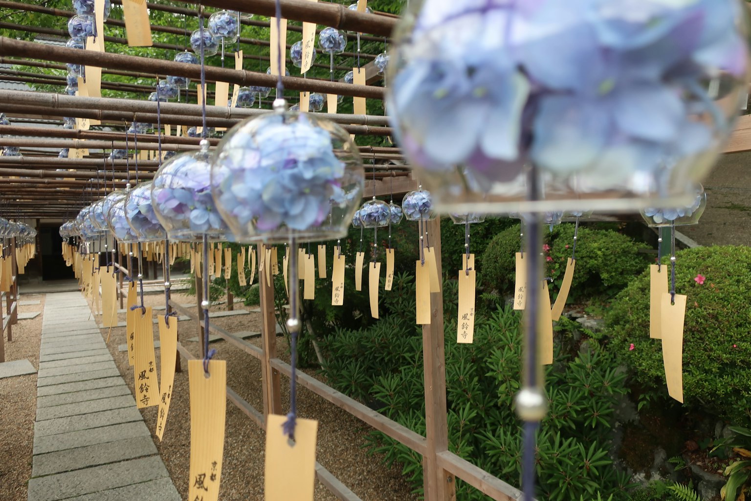 A garden scene featuring hanging hydrangea flowers with wind chimes and wooden tags