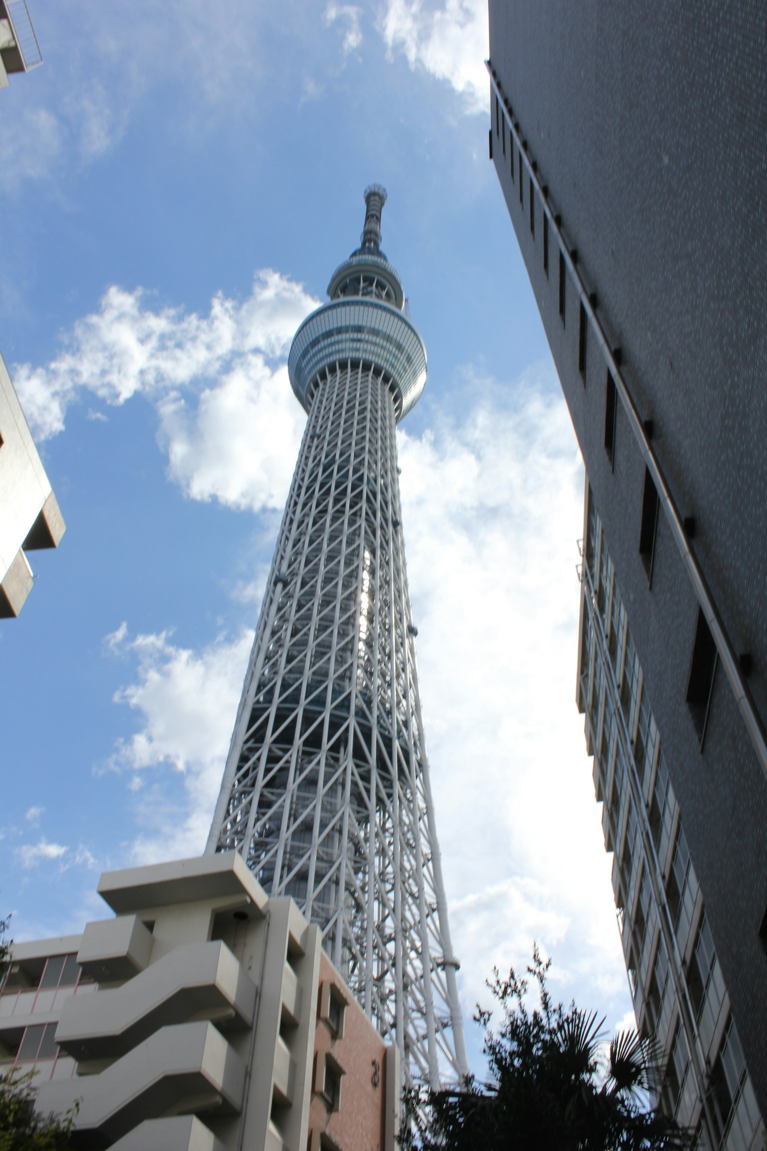 Tokyo Skytree che svetta sotto un cielo blu
