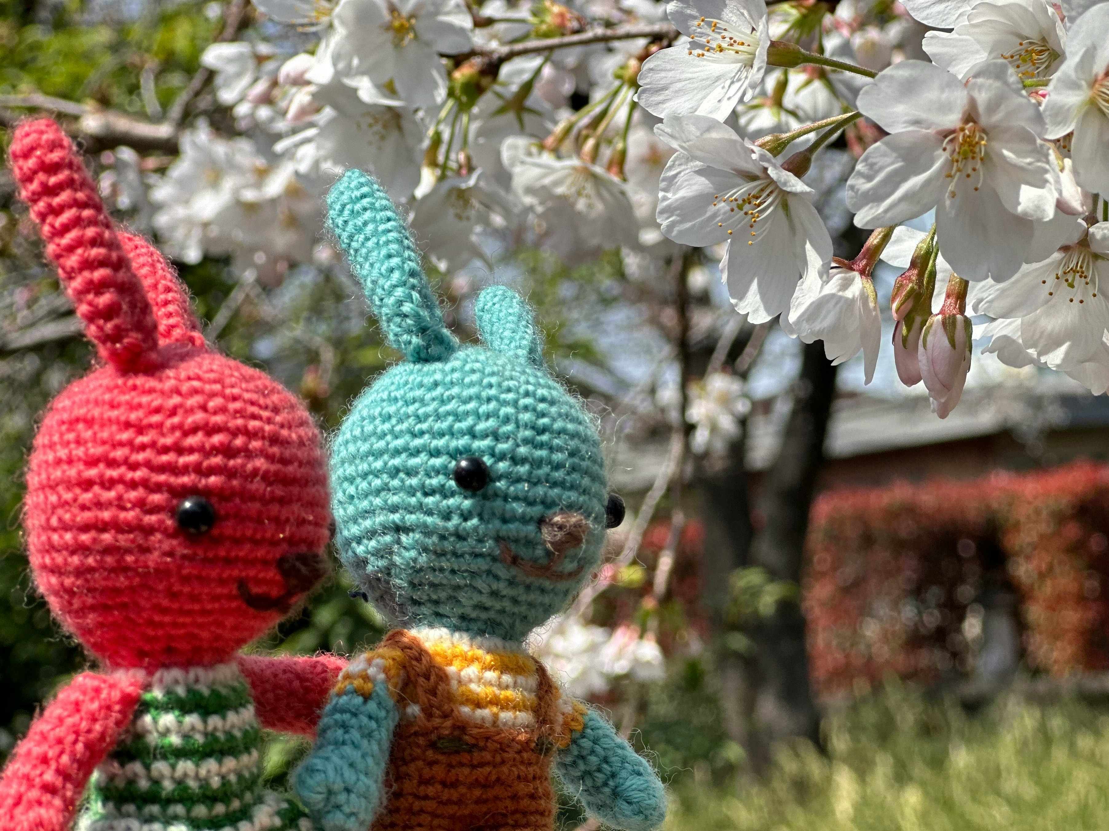 桜の花のそばに並ぶあみぐるみのうさぎとぬいぐるみ
