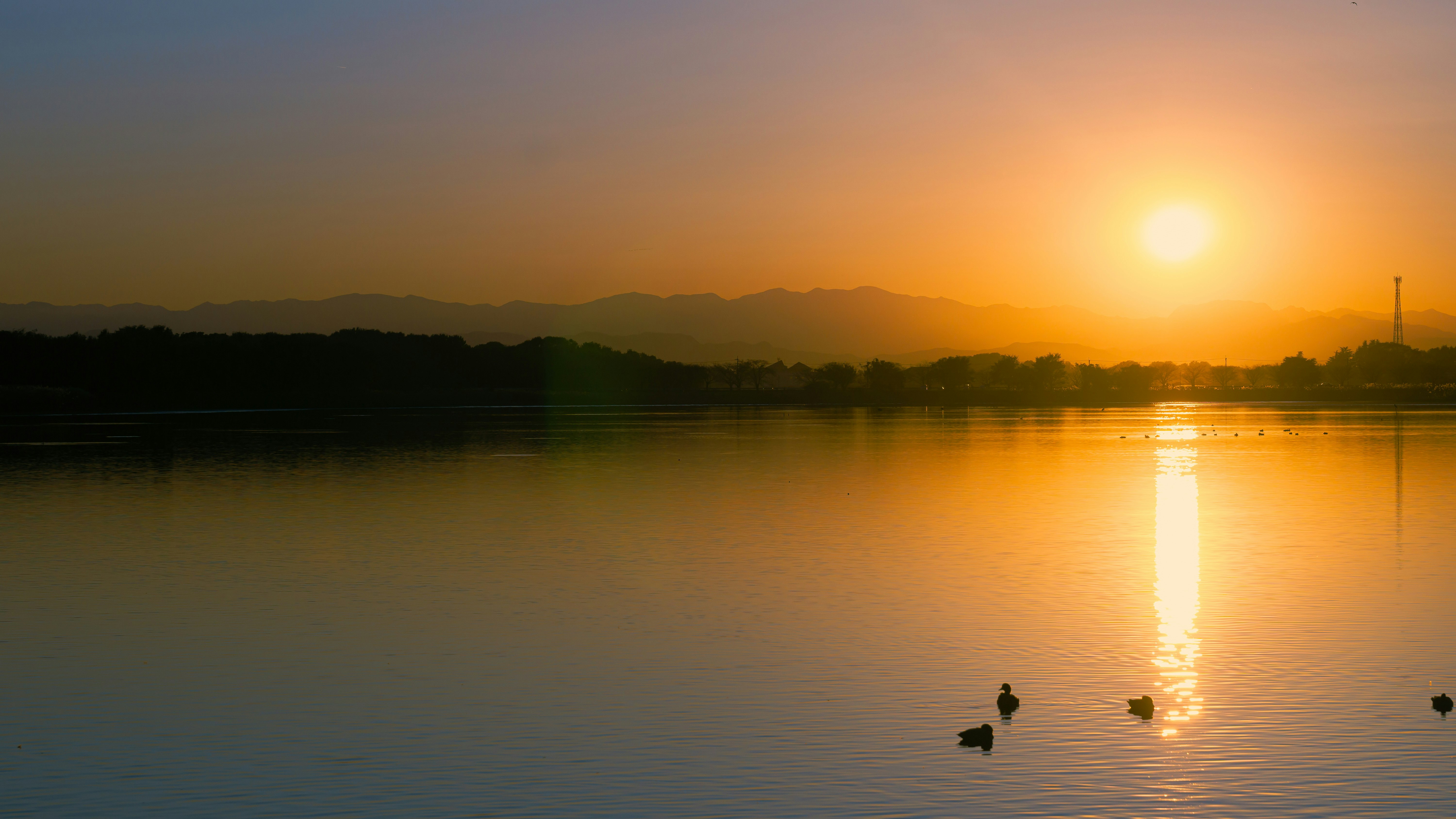 群馬県館林市の多々良沼に沈む夕陽の黄昏