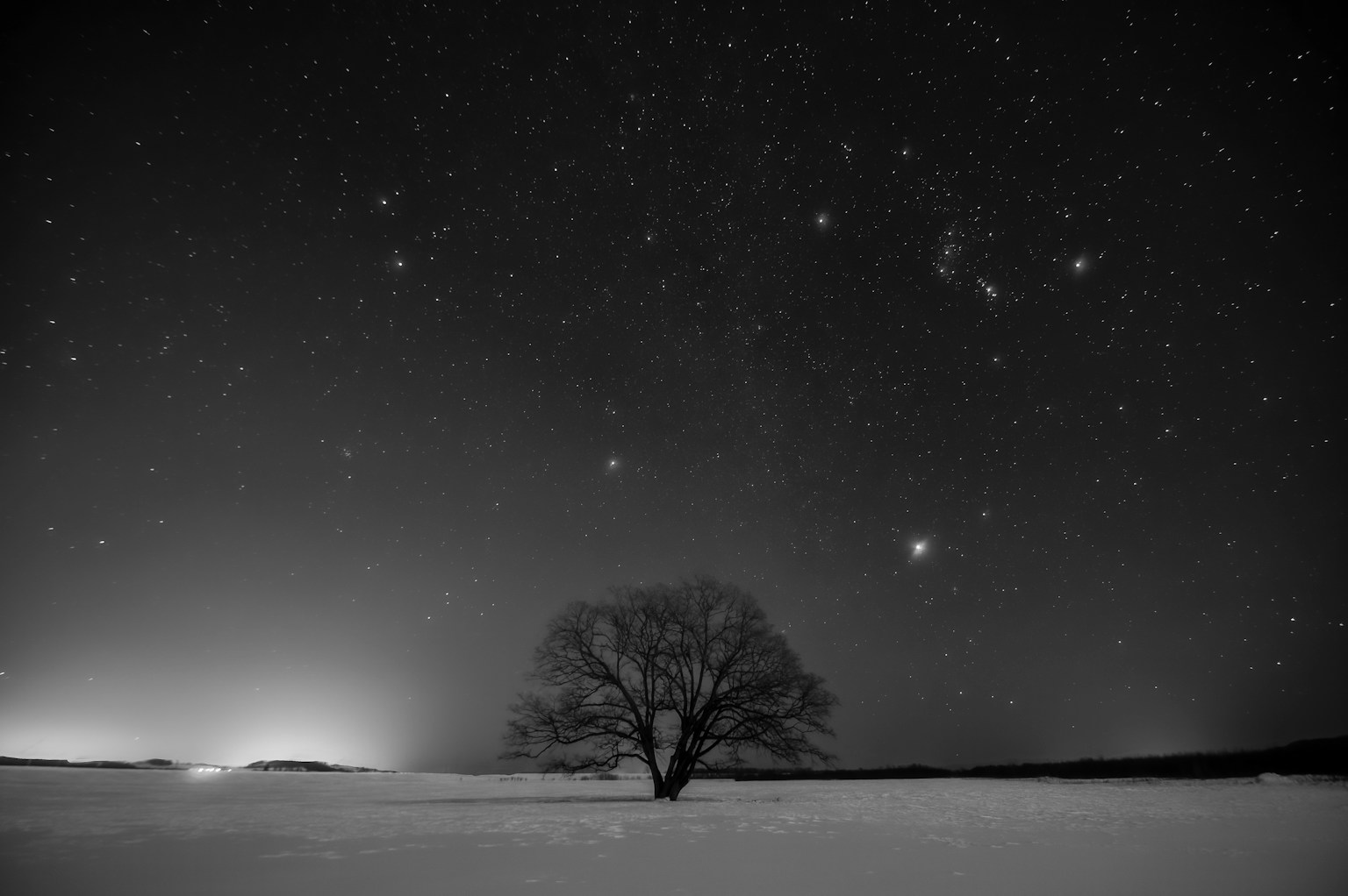 Albero solitario in un paesaggio innevato sotto un cielo stellato