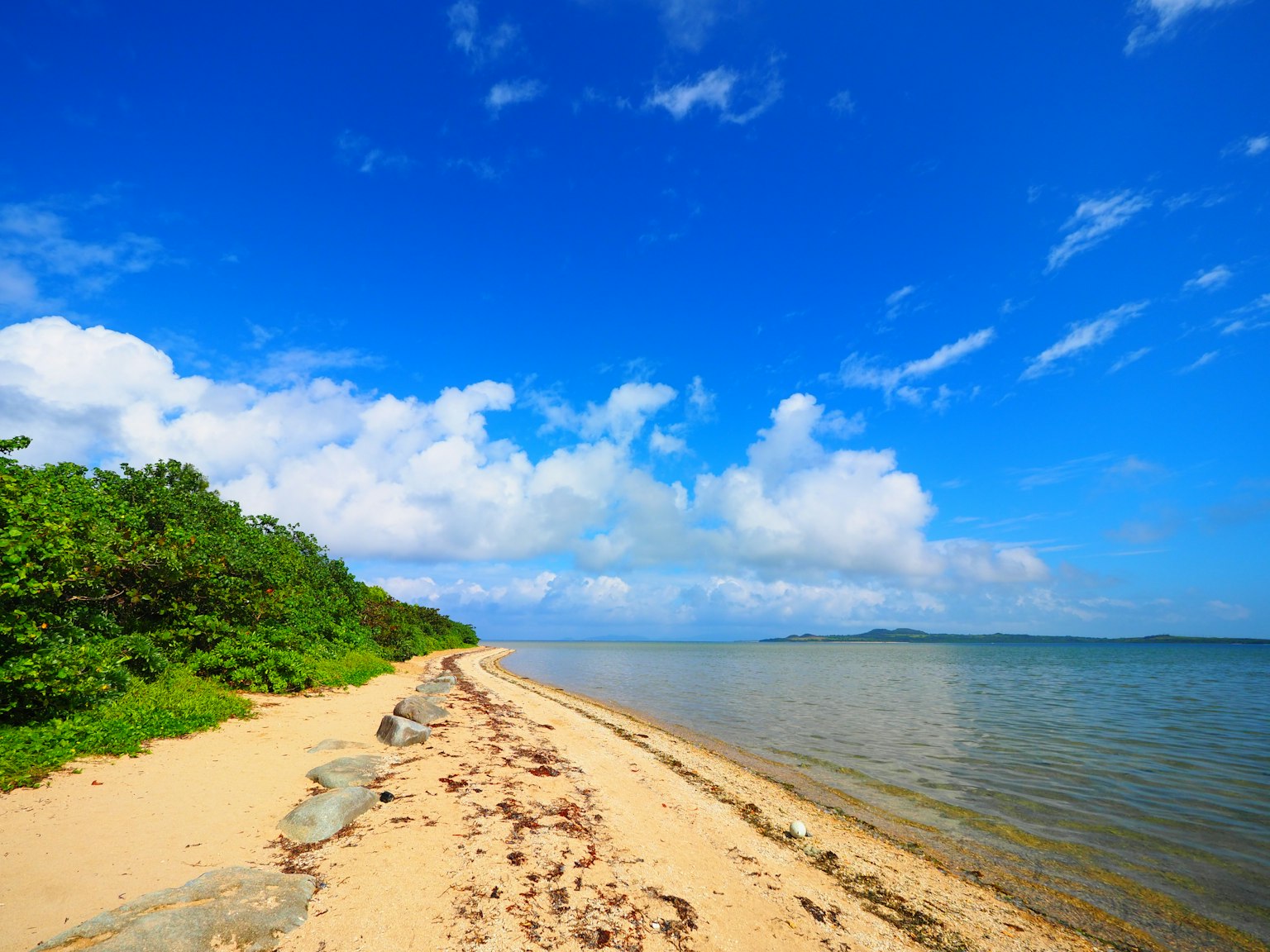 Pemandangan pantai yang indah dengan langit biru dan awan putih vegetasi subur dan pantai berpasir