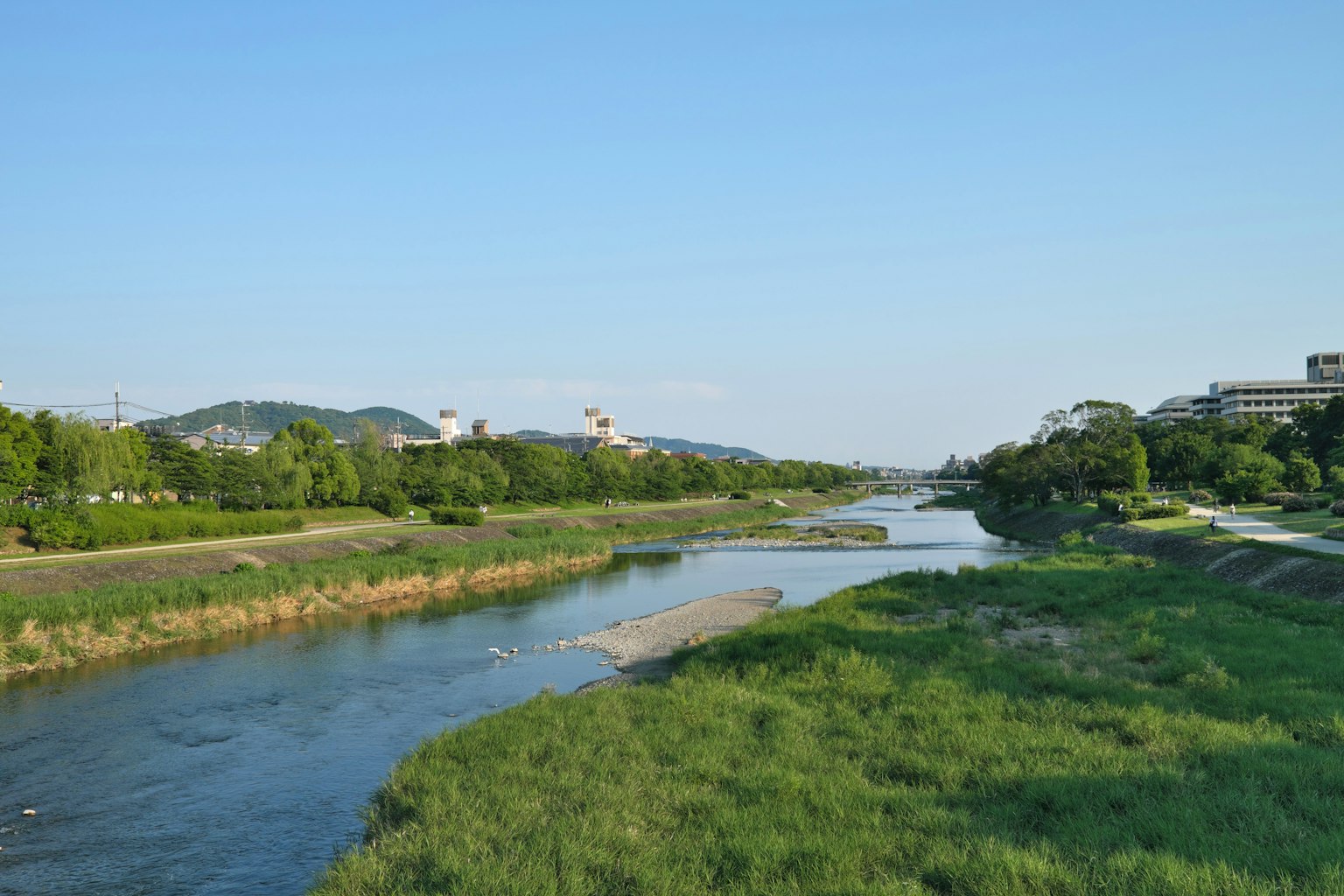 青空の下に広がる川と緑の草地の風景