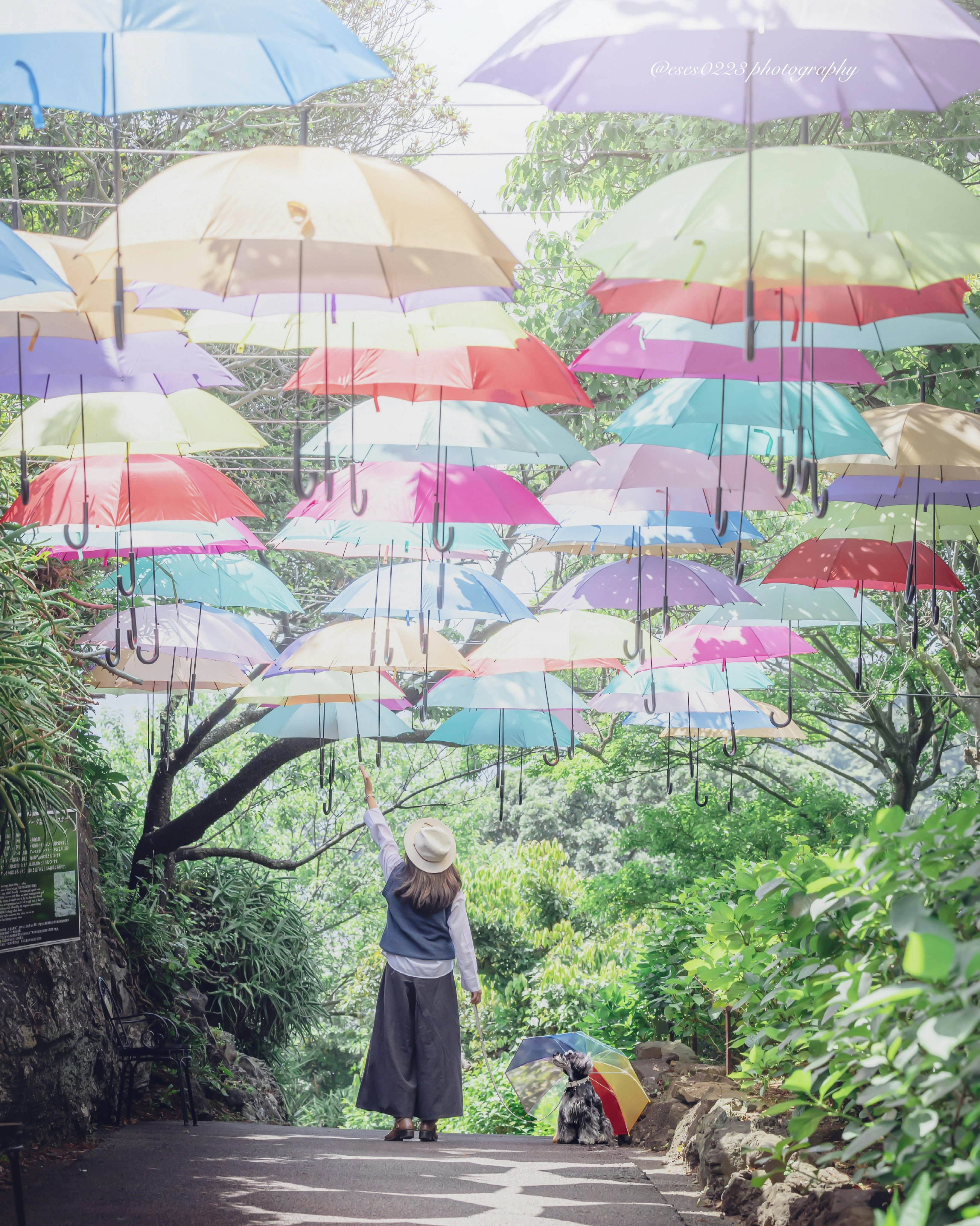 五彩雨伞排成一条小路