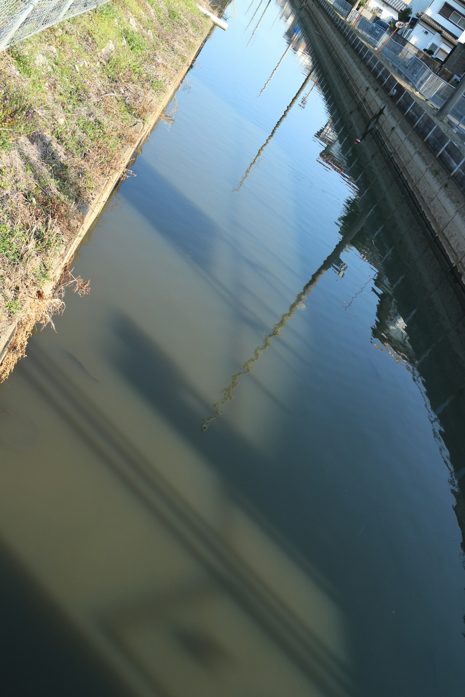 Reflections on the water surface with surrounding landscape
