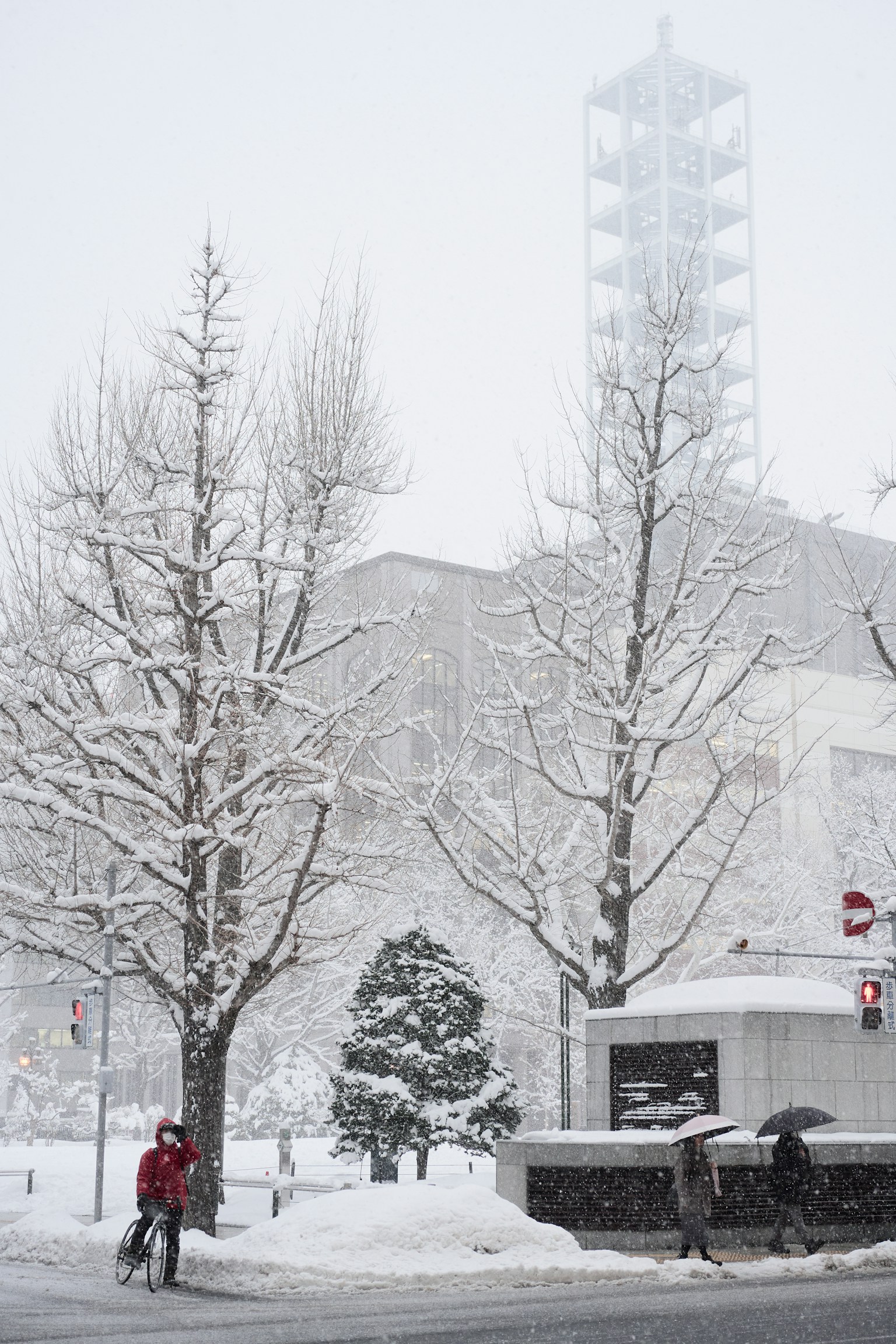 photo-HGSrGhc5IjvkbkWzmcxI-image