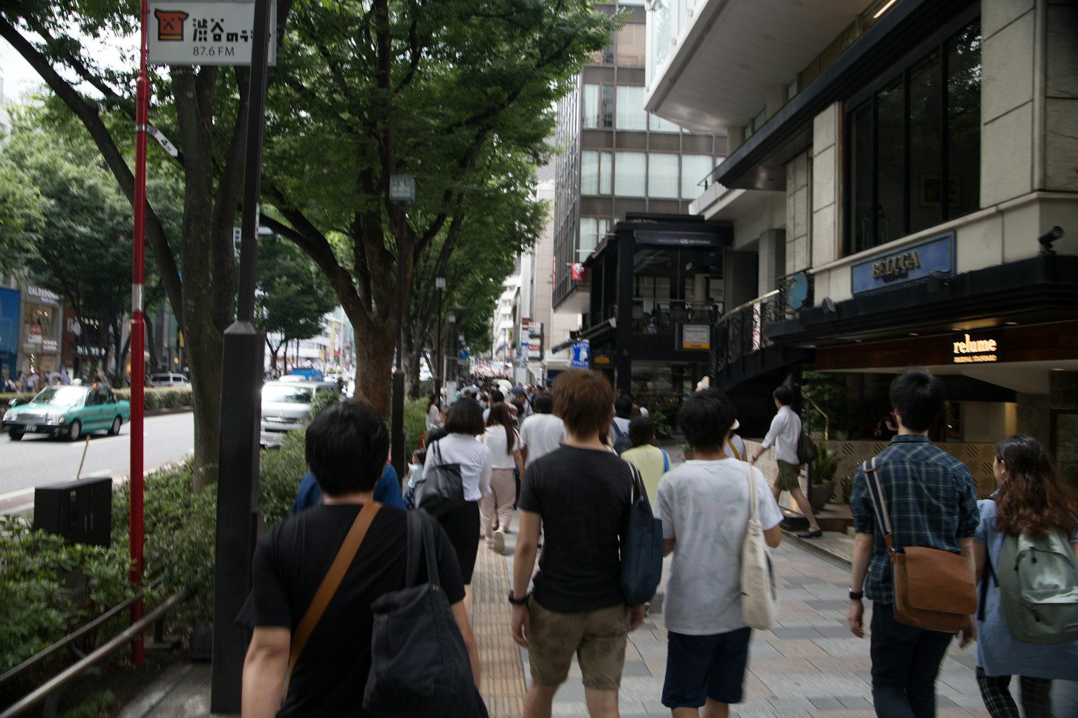 People walking on a busy street with green trees