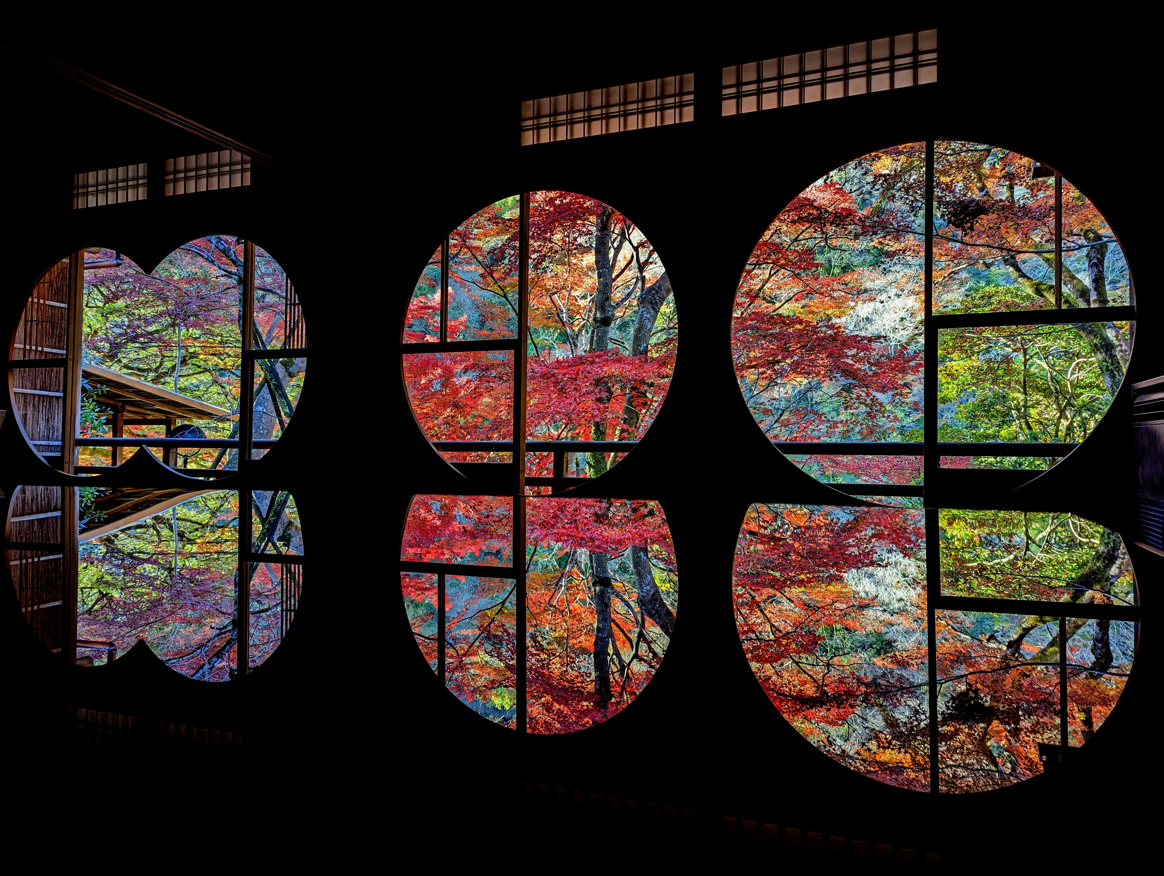 紅葉の景色を切り取った窓のアート画像