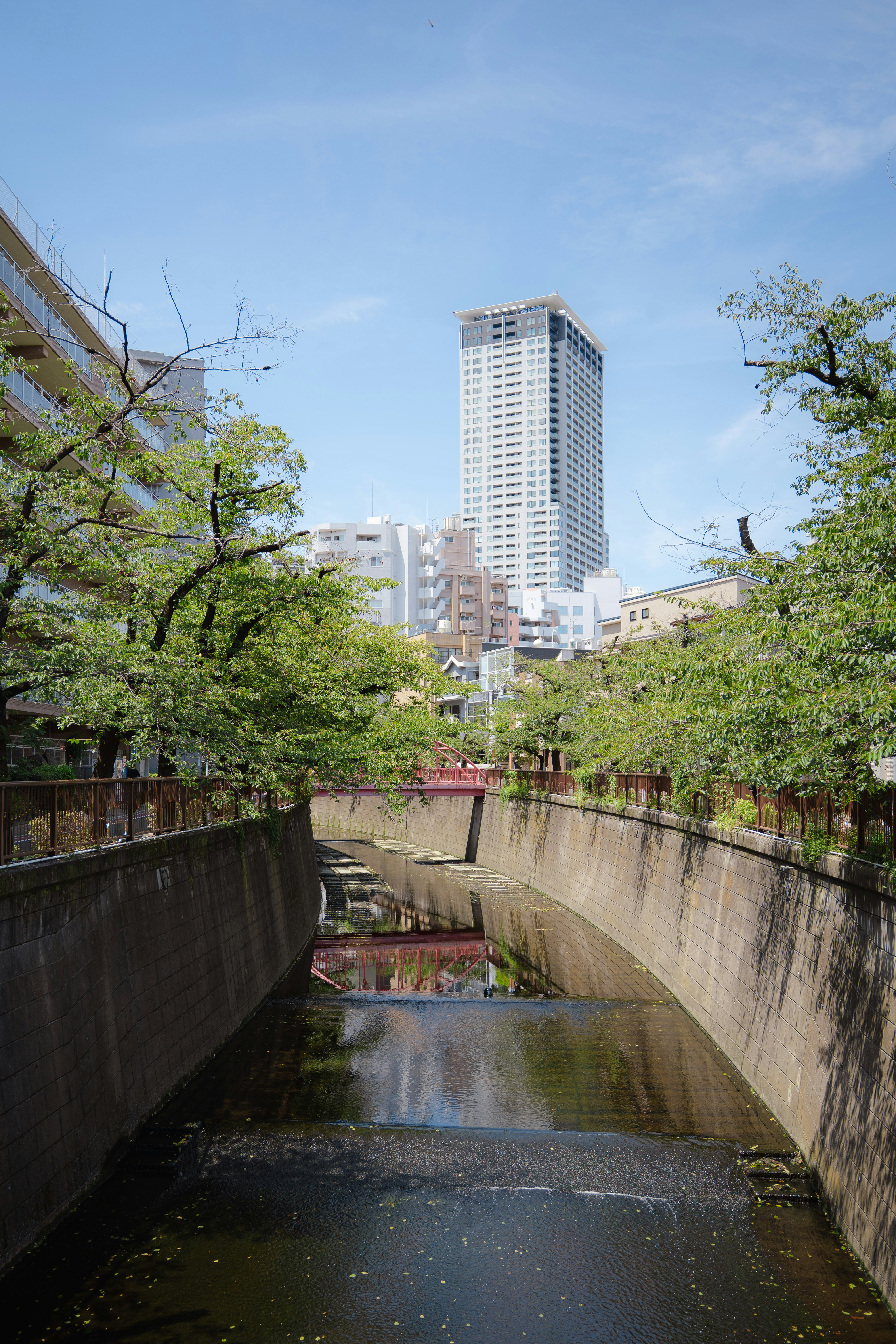高層ビルと緑豊かな木々に囲まれた川の風景