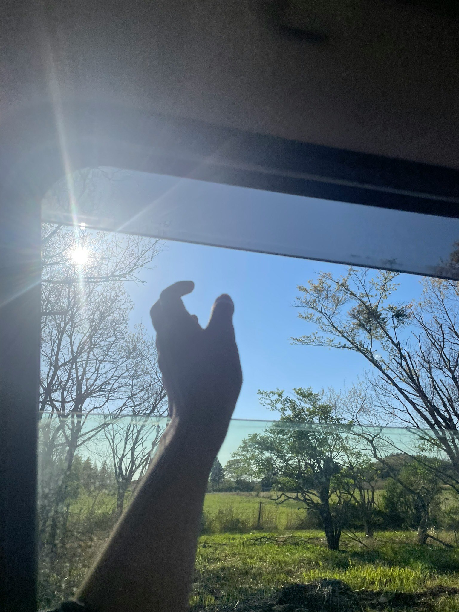 Silhouette di una persona che guarda il cielo, luce che entra da un finestrino del treno su un paesaggio di campagna