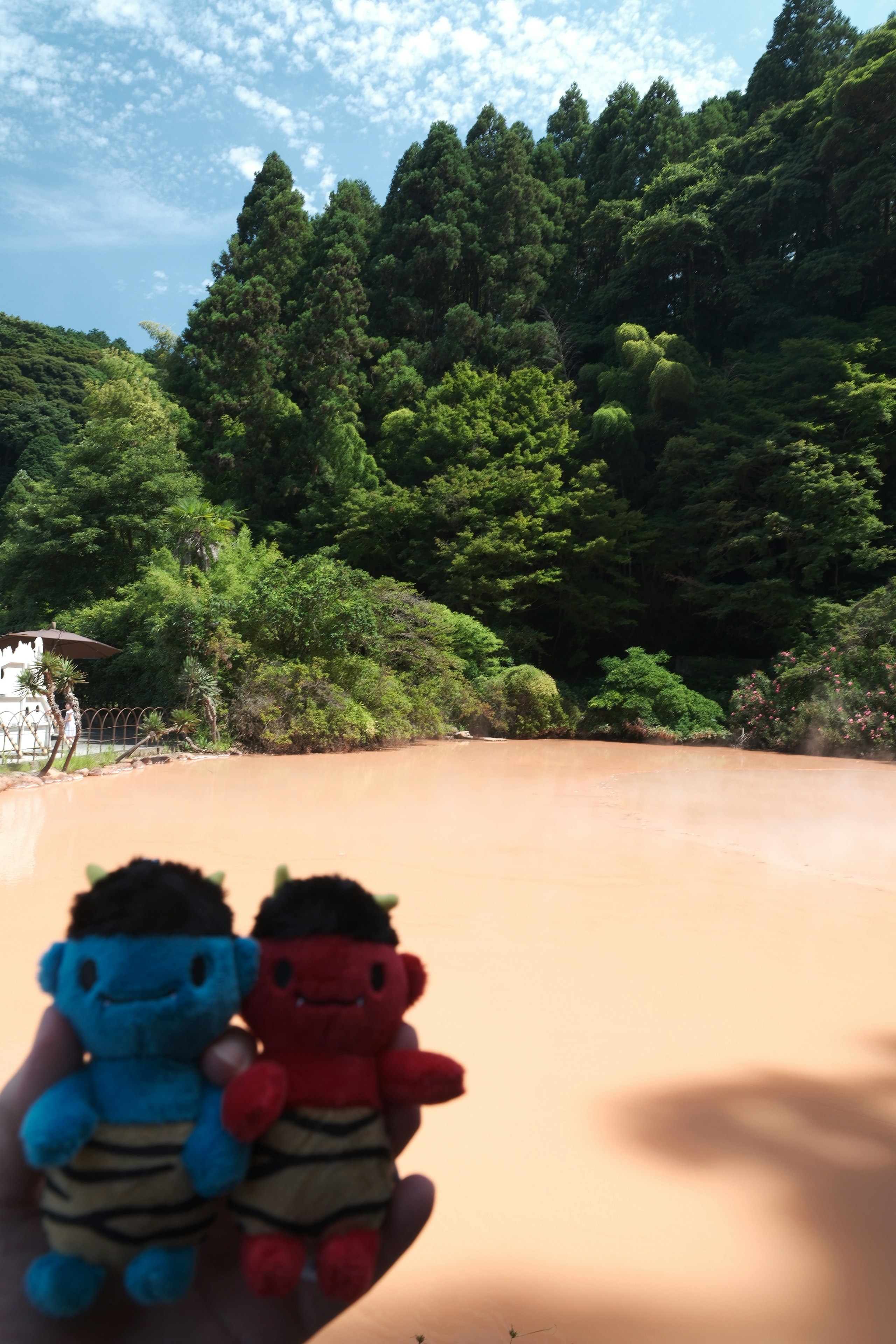 別府地獄巡りの血の池地獄を望む温泉地の景色