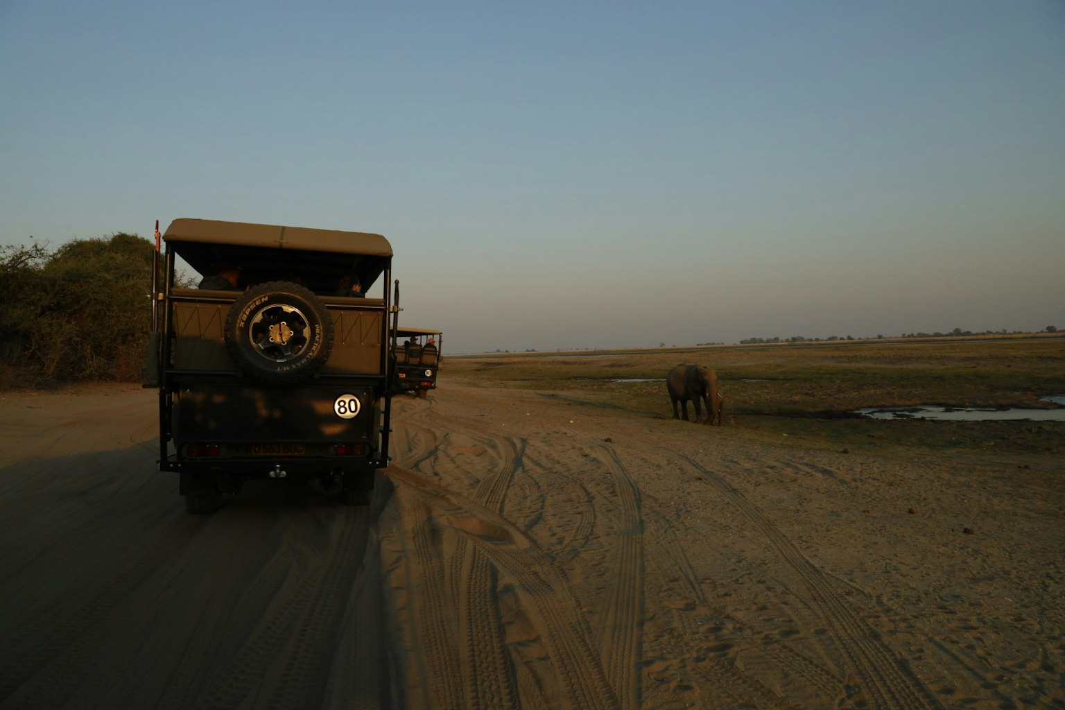 Camion da safari al crepuscolo con un elefante nelle praterie