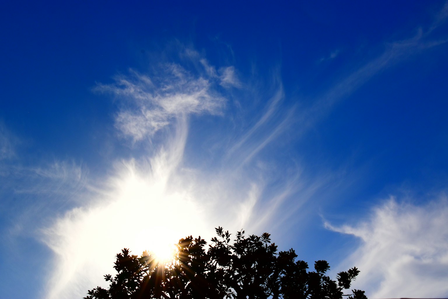 Cielo blu brillante con nuvole sottili e luce solare che filtra tra gli alberi
