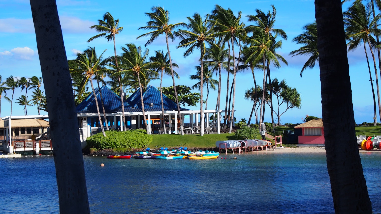 Scène de plage magnifique avec ciel bleu et palmiers Kayaks colorés alignés sur l'eau