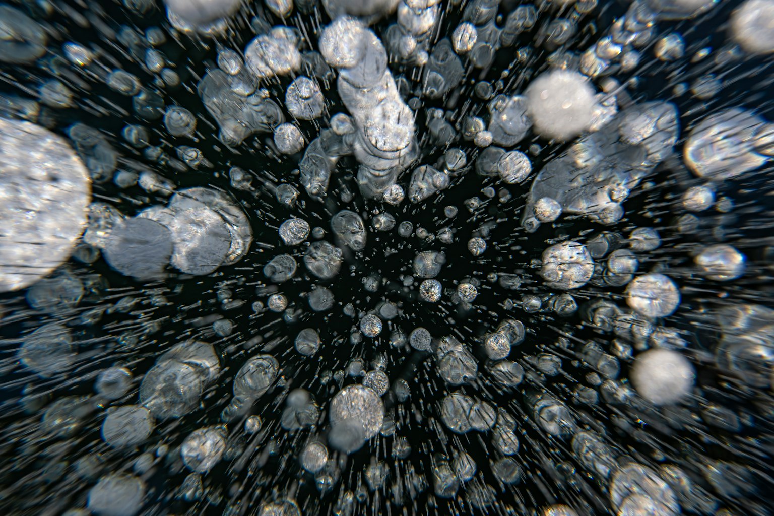 黑色背景上漂浮着众多气泡的特写图像