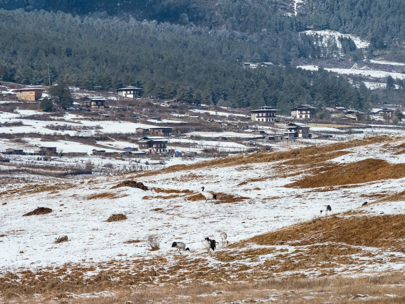 Schneebedeckte Landschaft mit entferntem Dorf und sanften Hügeln