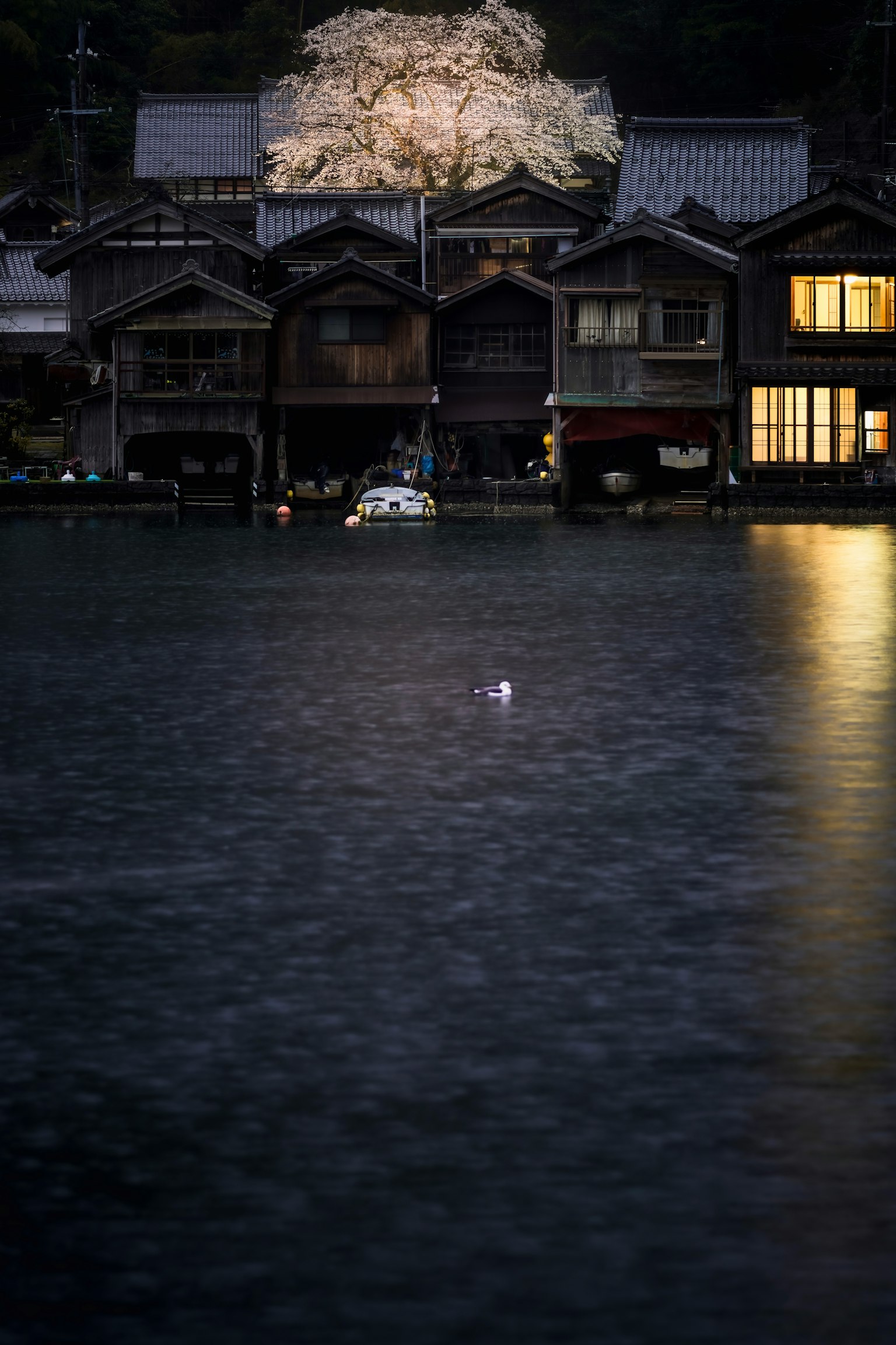 Một con chim trắng nổi trên mặt nước tối với những ngôi nhà truyền thống Nhật Bản ở phía sau