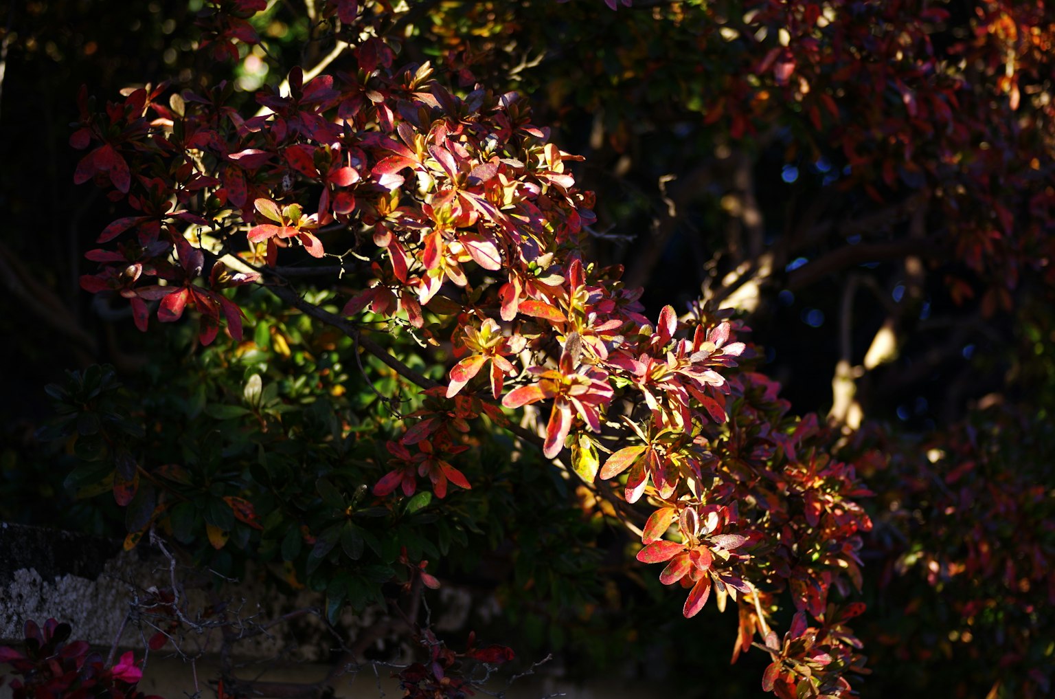 어두운 배경에 단순한 회색 사각형