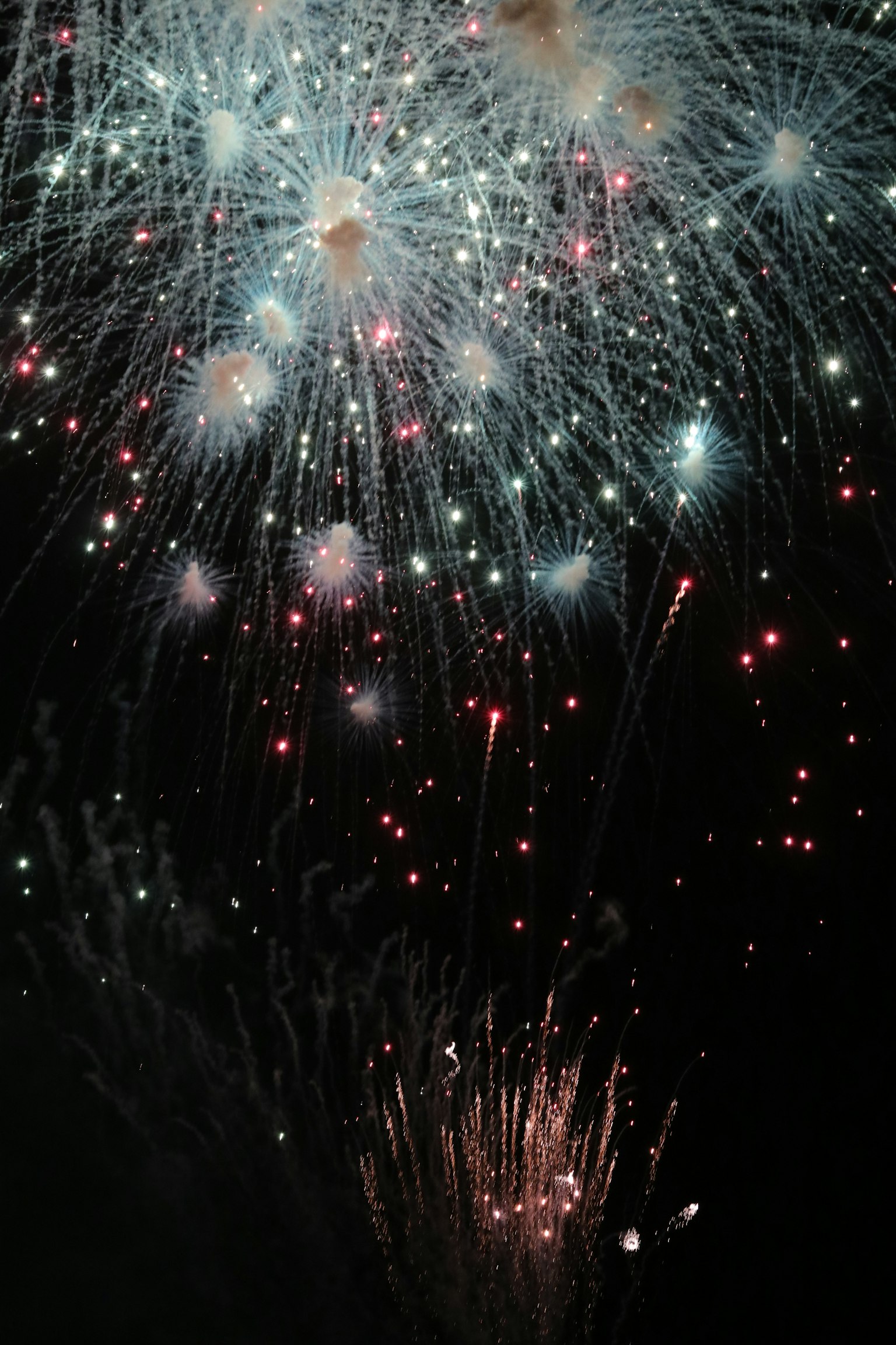 A beautiful display of fireworks in the night sky