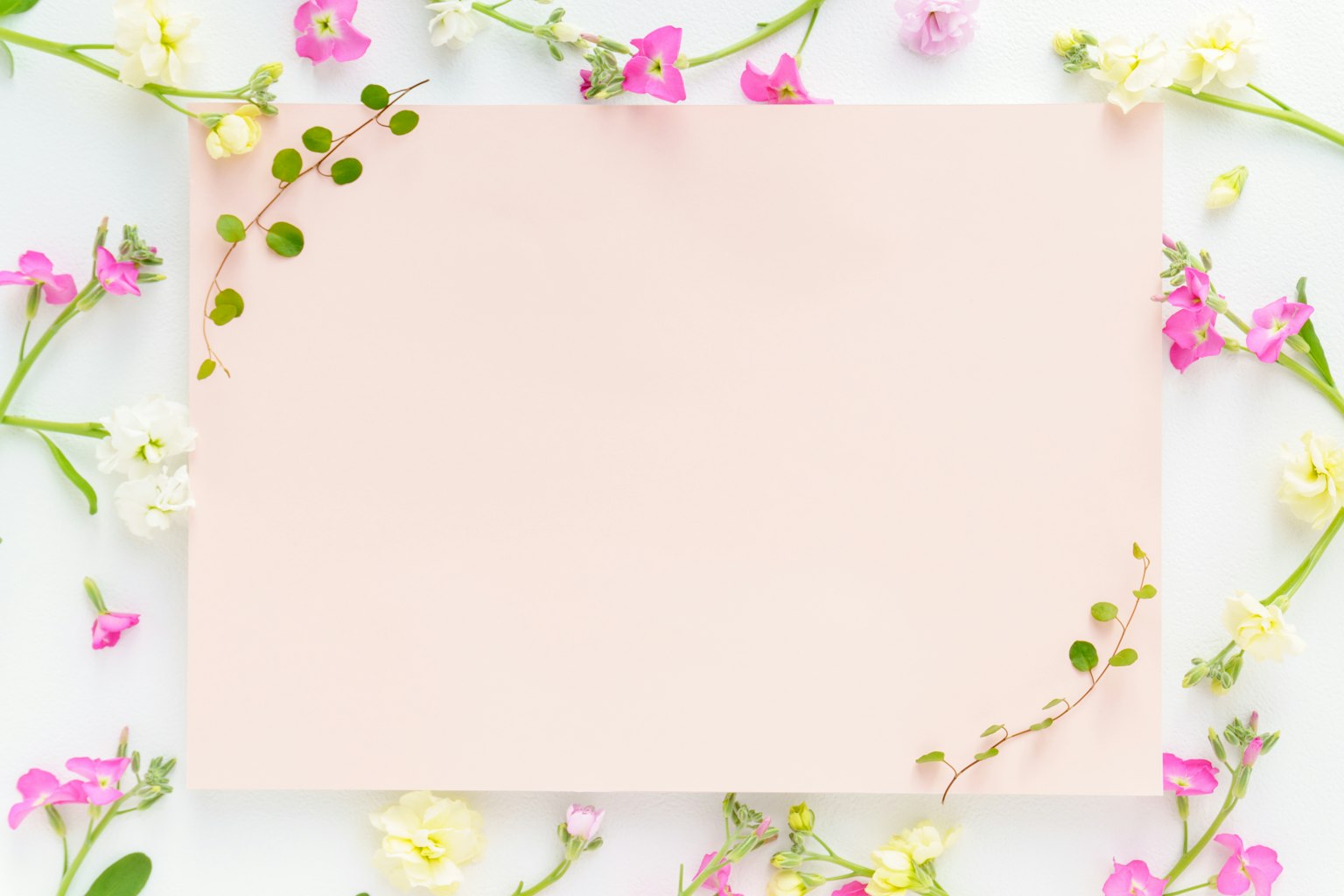 Fondo rosa claro adornado con pequeñas flores