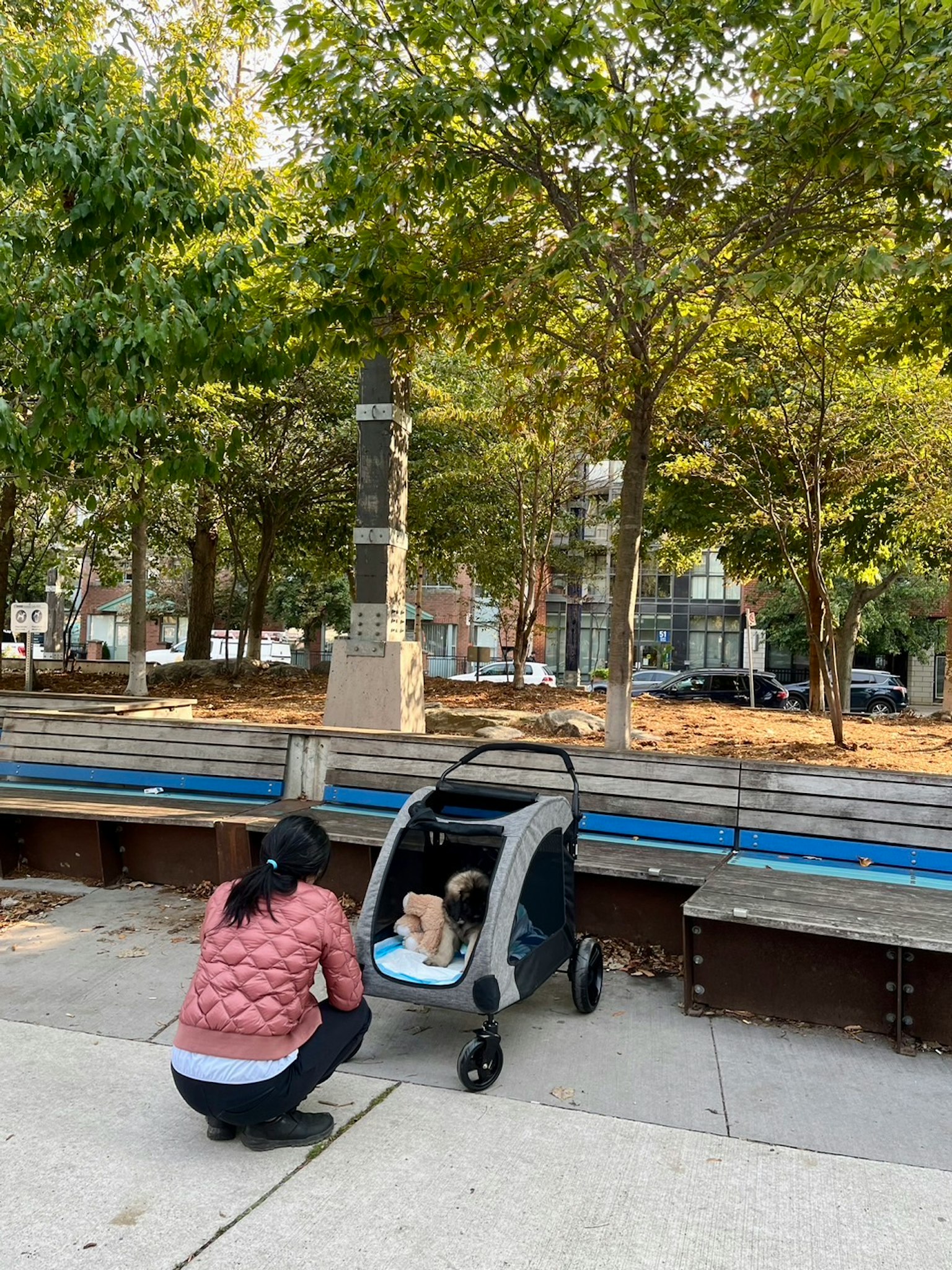 A woman caring for a baby in a stroller at a park