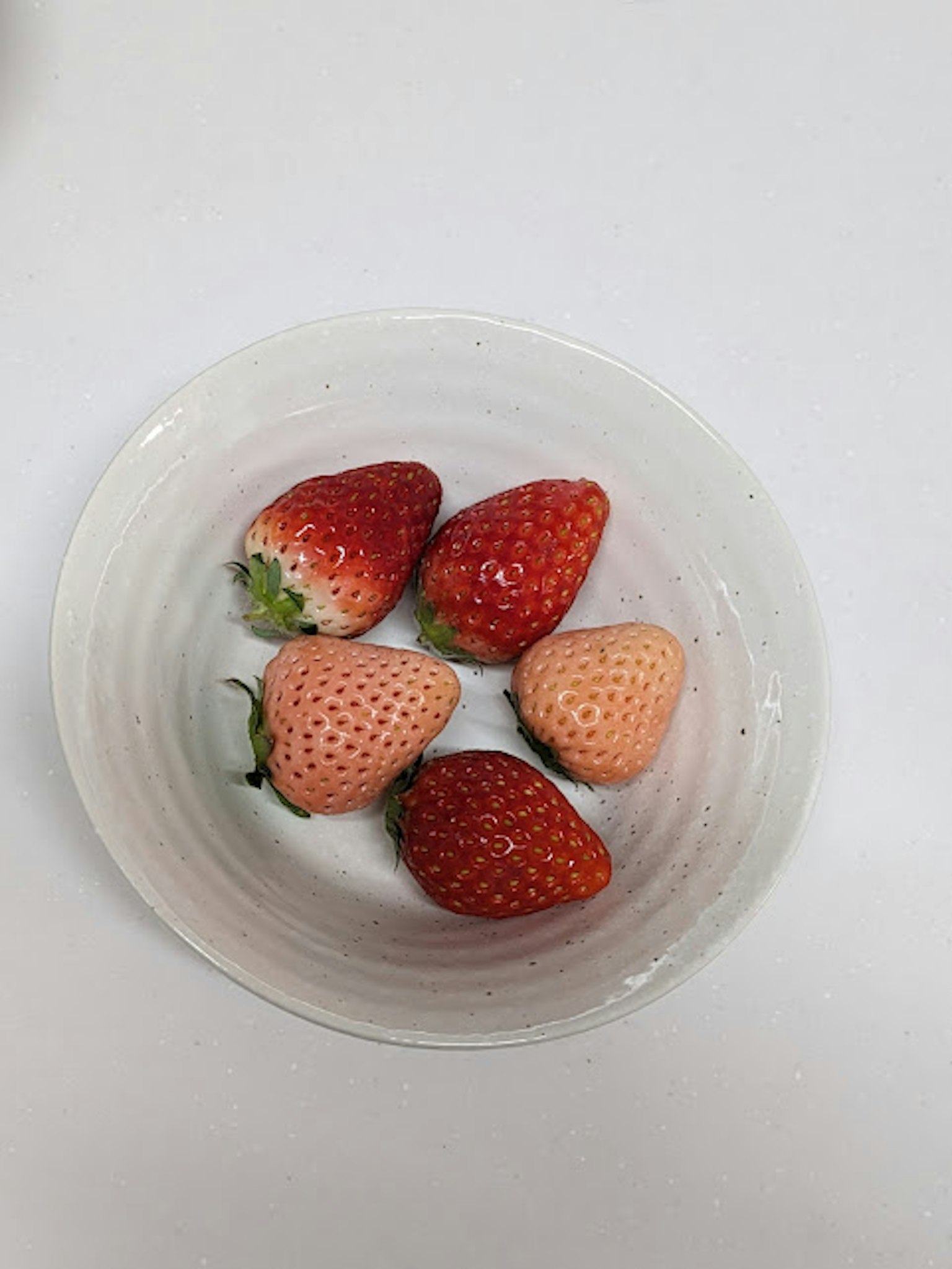 Fraises fraîches et fraises non mûres dans un bol blanc