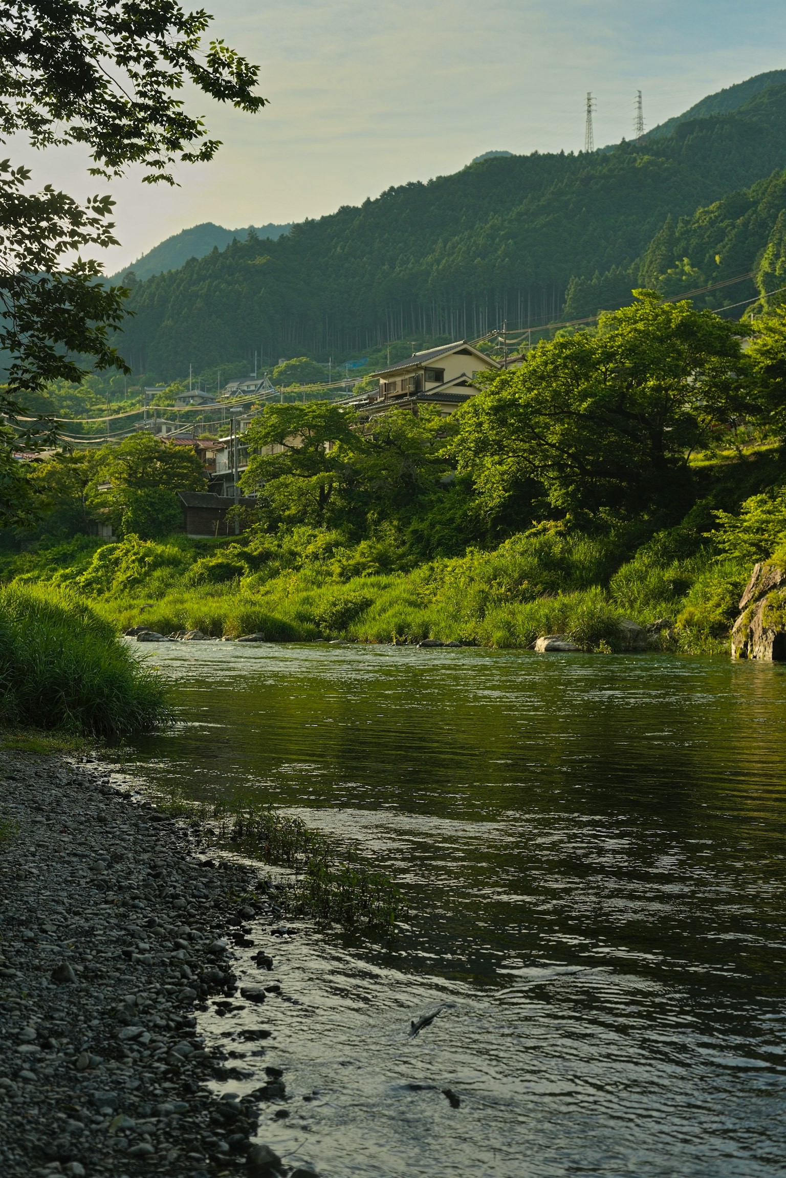 Serene river landscape with lush green mountains