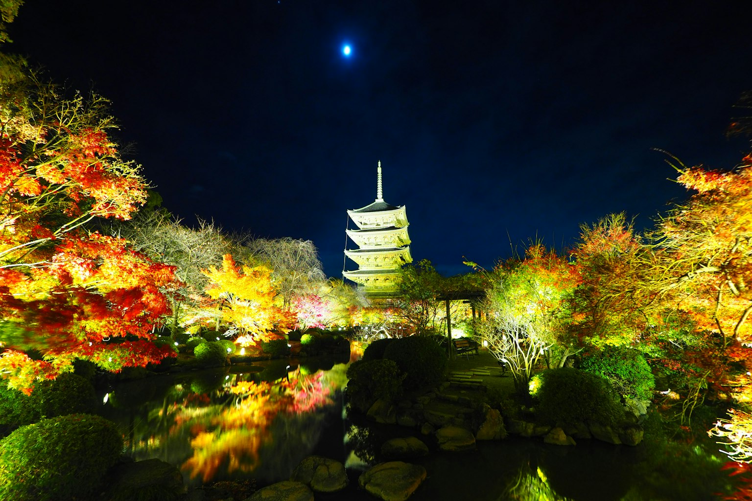 Cảnh đêm với tháp pagoda bao quanh bởi lá mùa thu rực rỡ và bầu trời trong xanh