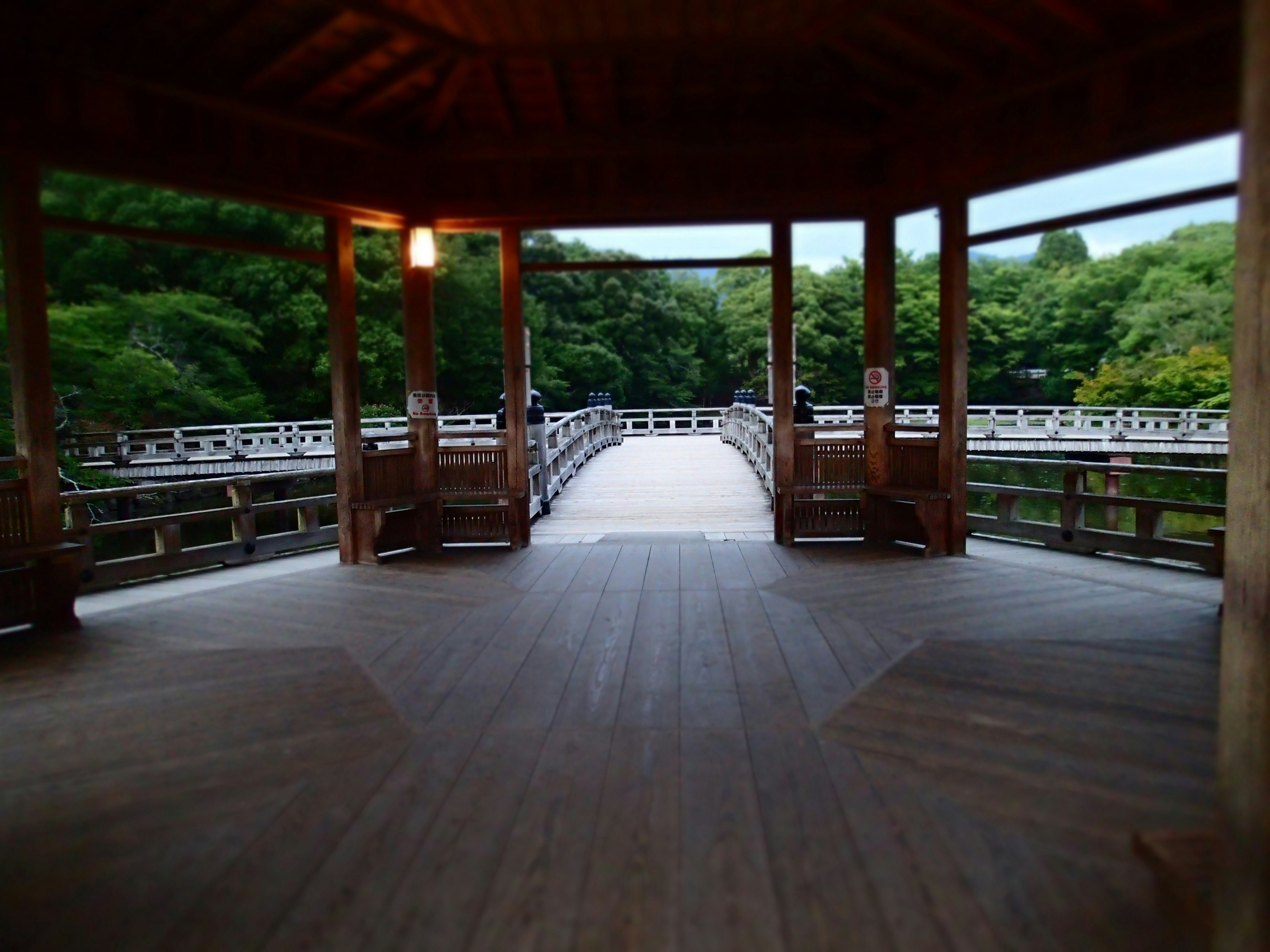 木質走廊俯瞰河岸景色