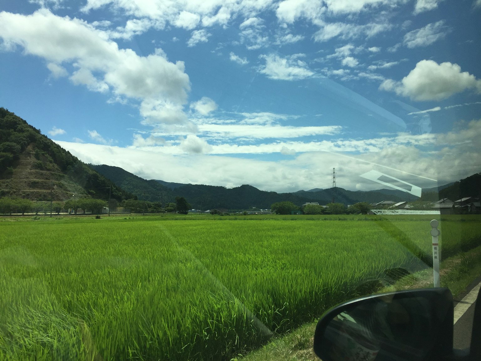 ทุ่งนาสีเขียวใต้ท้องฟ้าสีฟ้าแจ่มใส