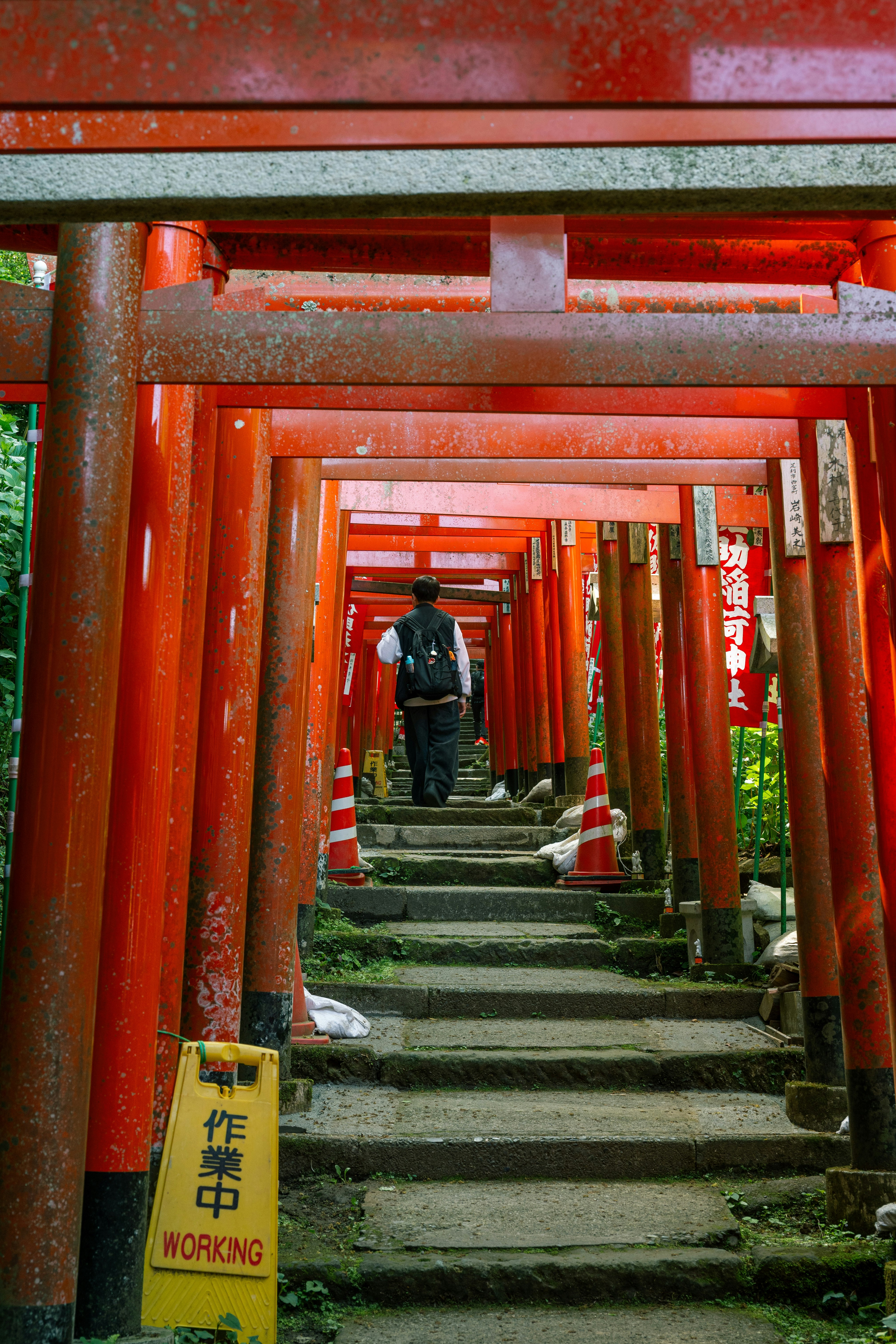 朱塗りの鳥居が連なる石段の参道