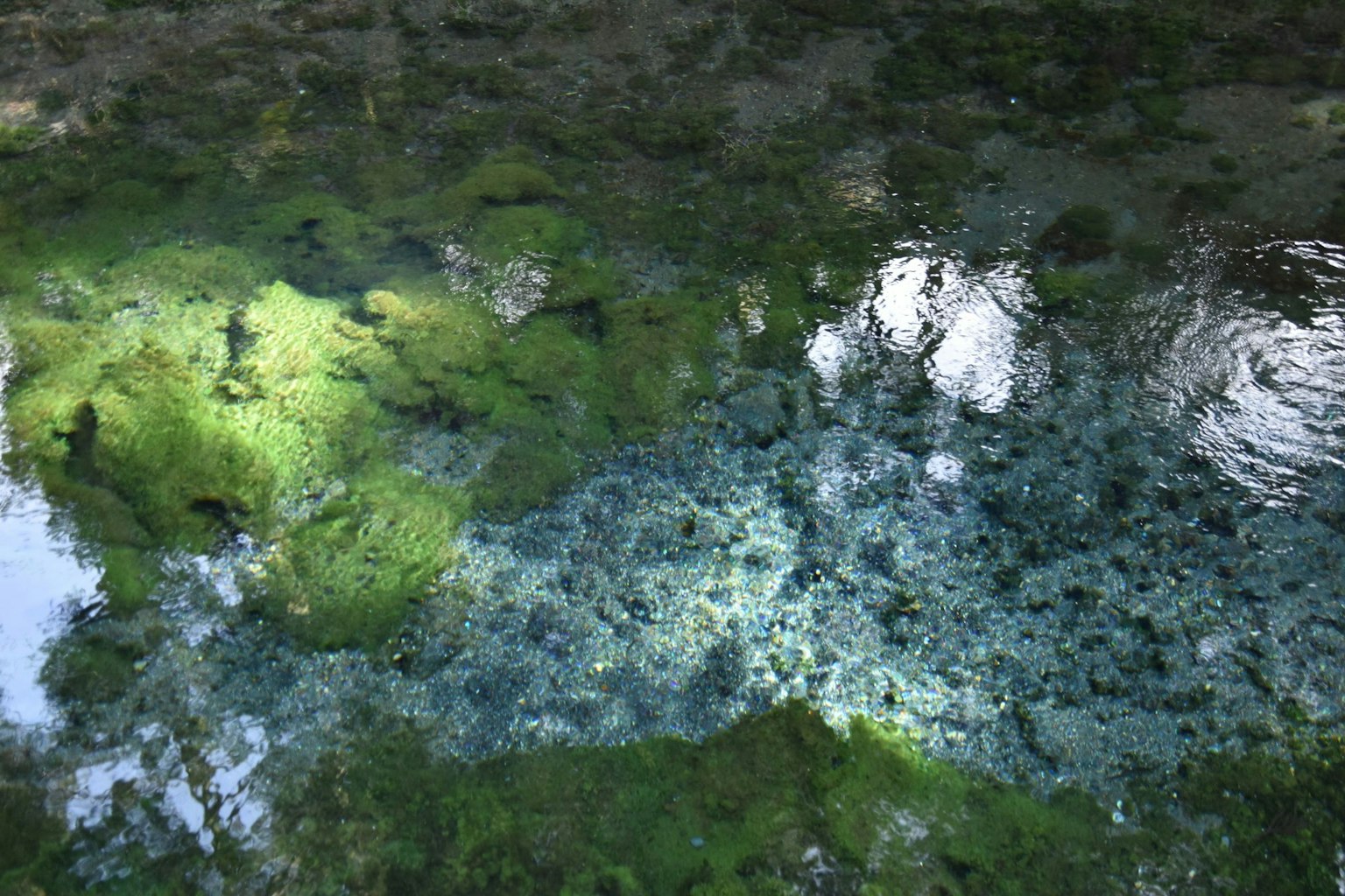 Pemandangan bawah air yang indah dengan nuansa hijau dan biru yang memantul di permukaan air