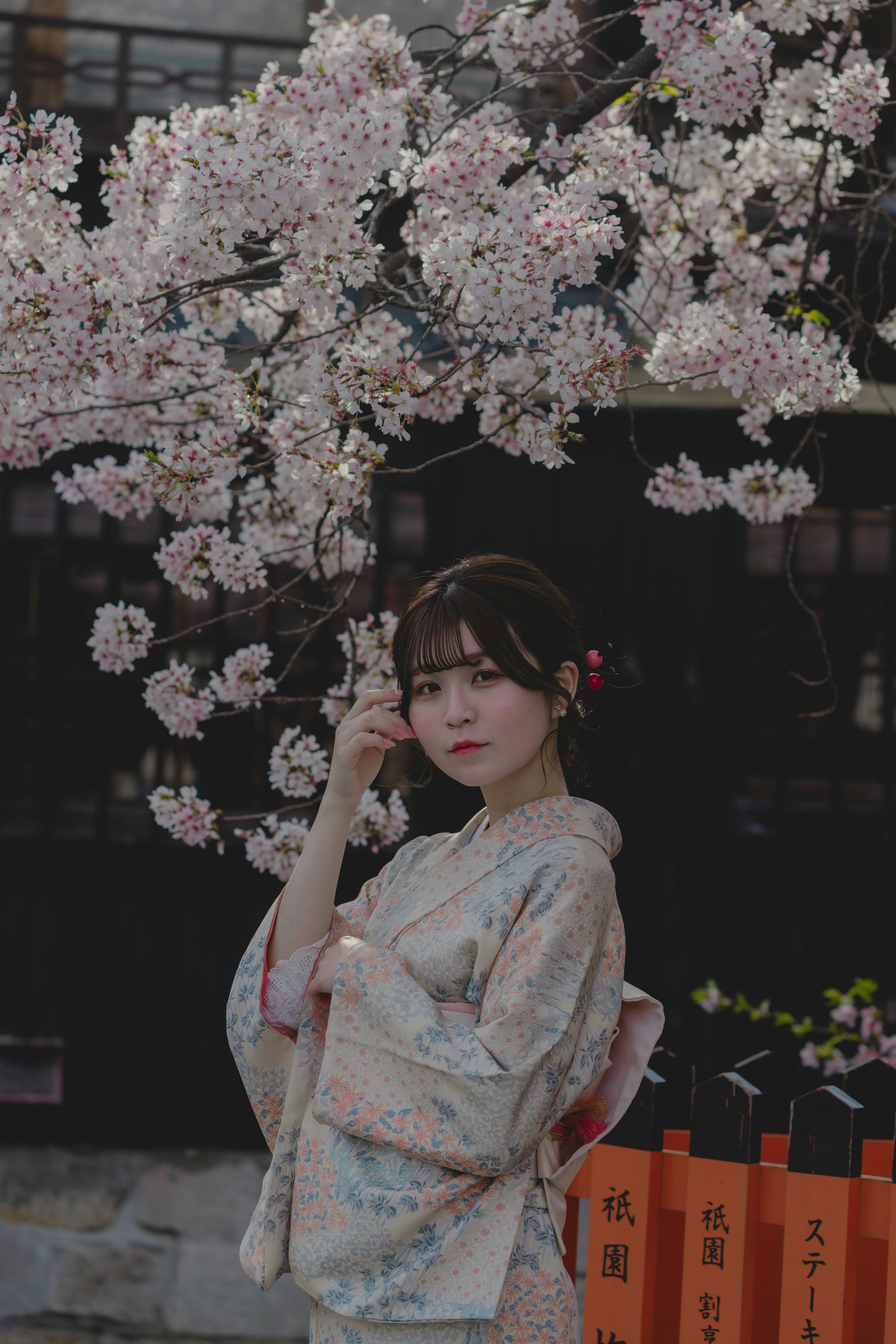 桜の枝の下で和装の女性が微笑む路地の情景