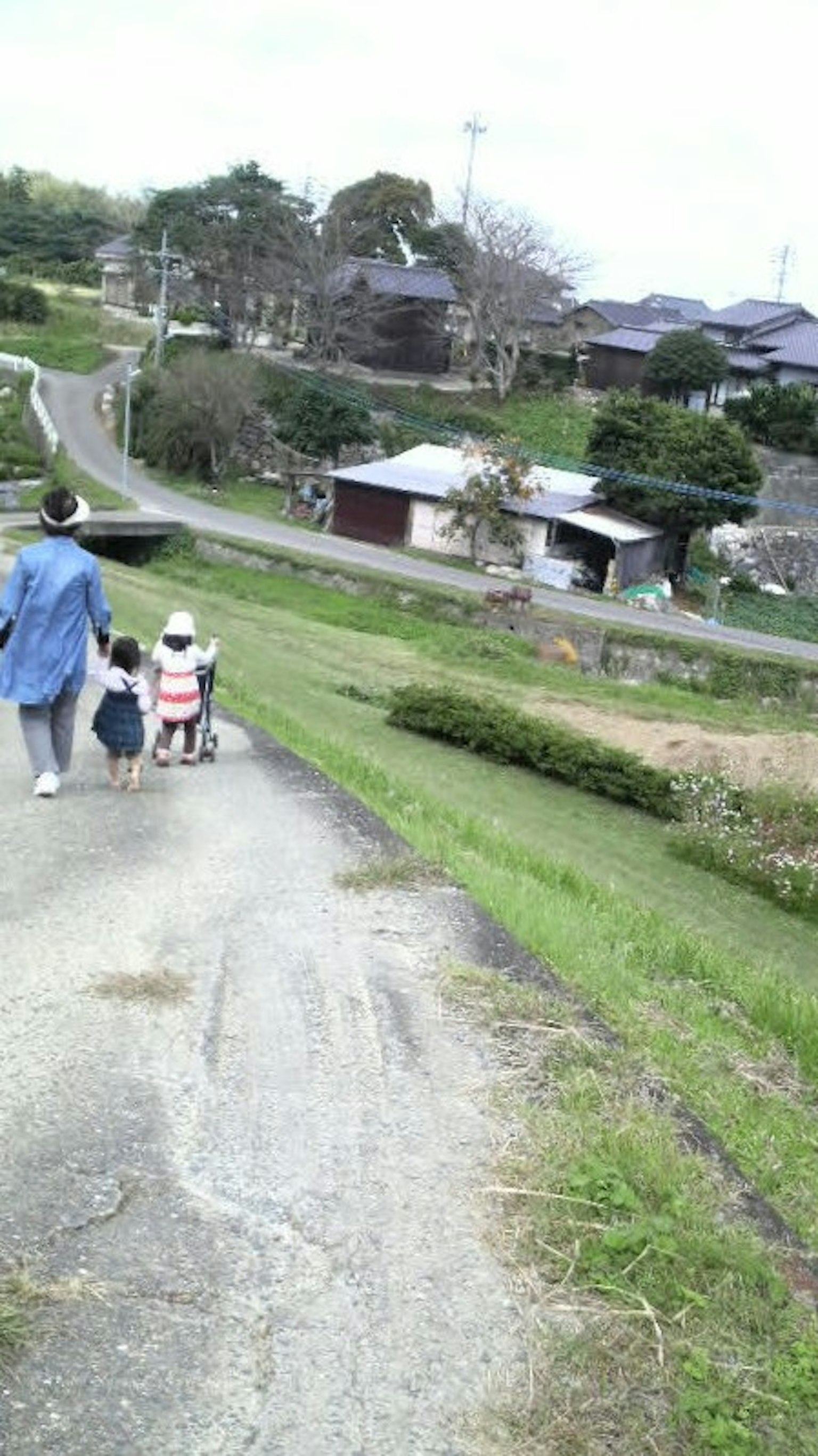 家庭在鄉村景觀中走下山坡