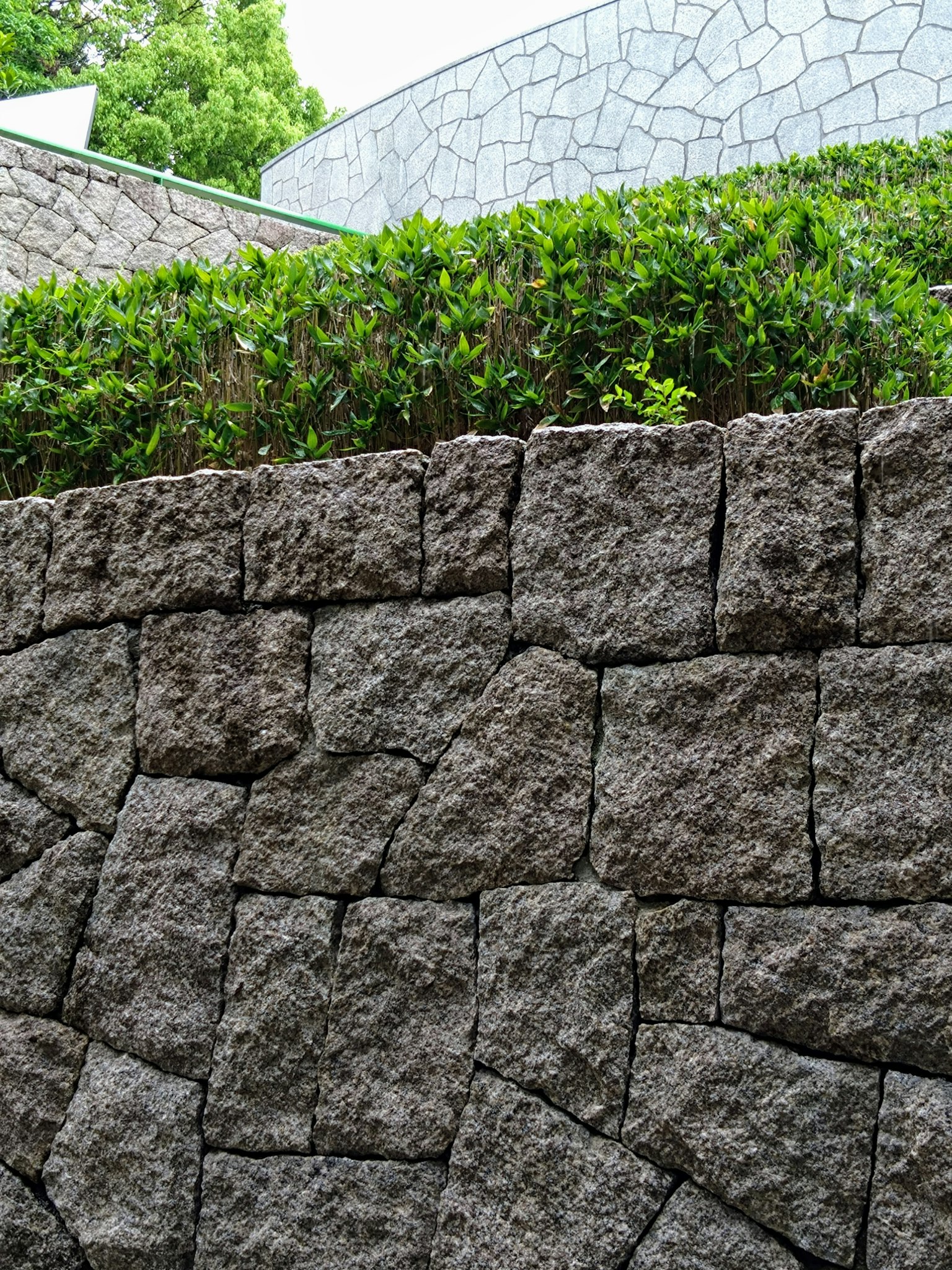 Muro in pietra con vegetazione lussureggiante sopra