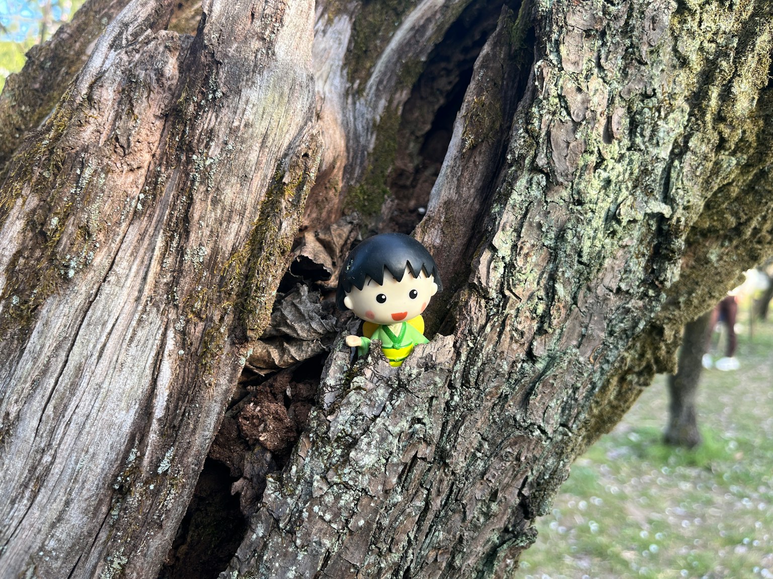 小角色玩具从树干中探出